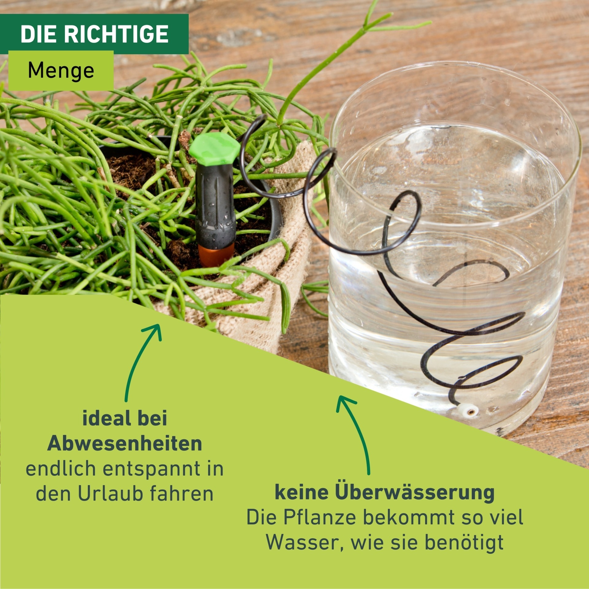 Windhager Tropfer »Wasserspender« (Set, 3 Stk. tlg.)  zur konstant dosierten Bewässerung von Zimmerpflanzen