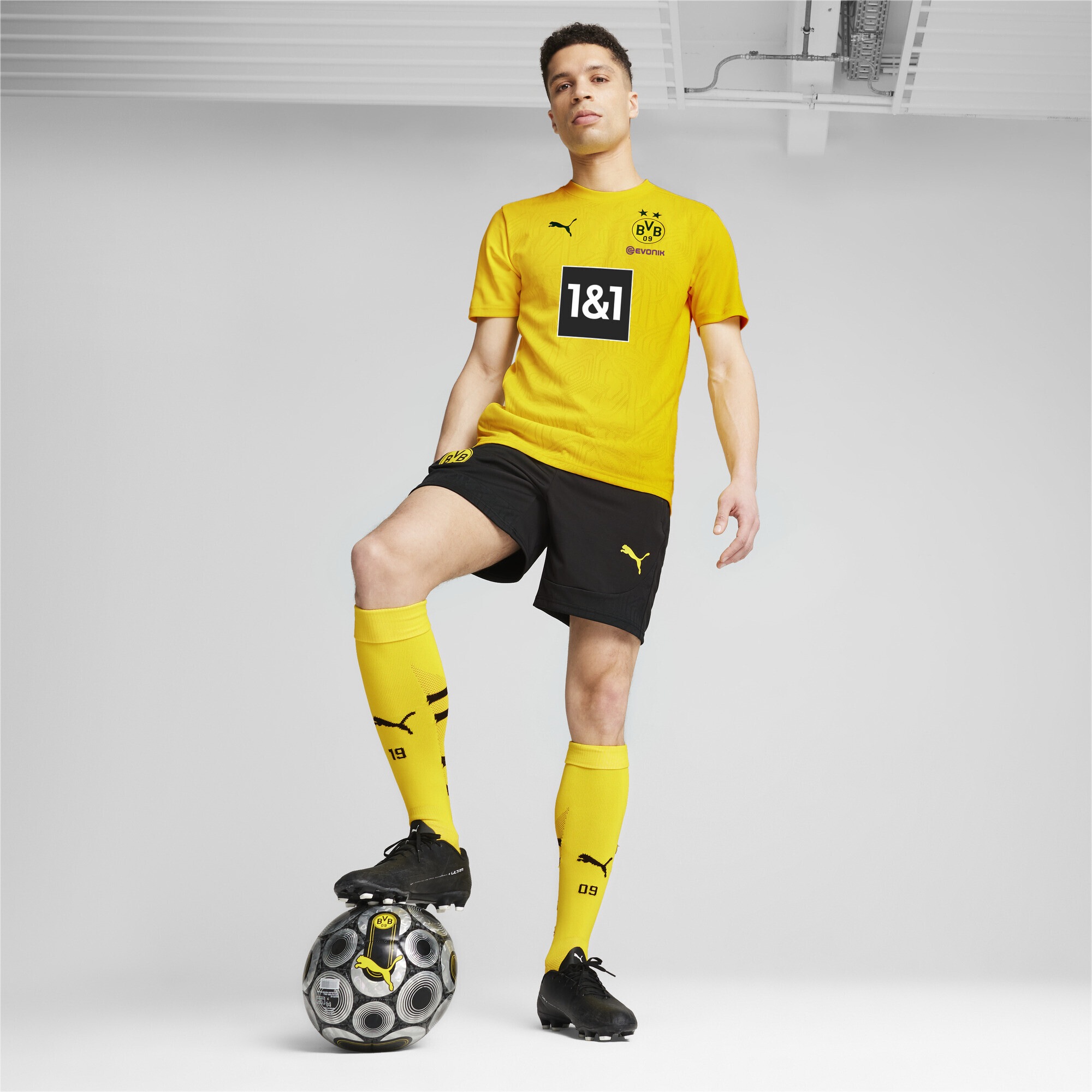 PUMA Trainingsshirt »Borussia Dortmund Trainingstrikot Herren«