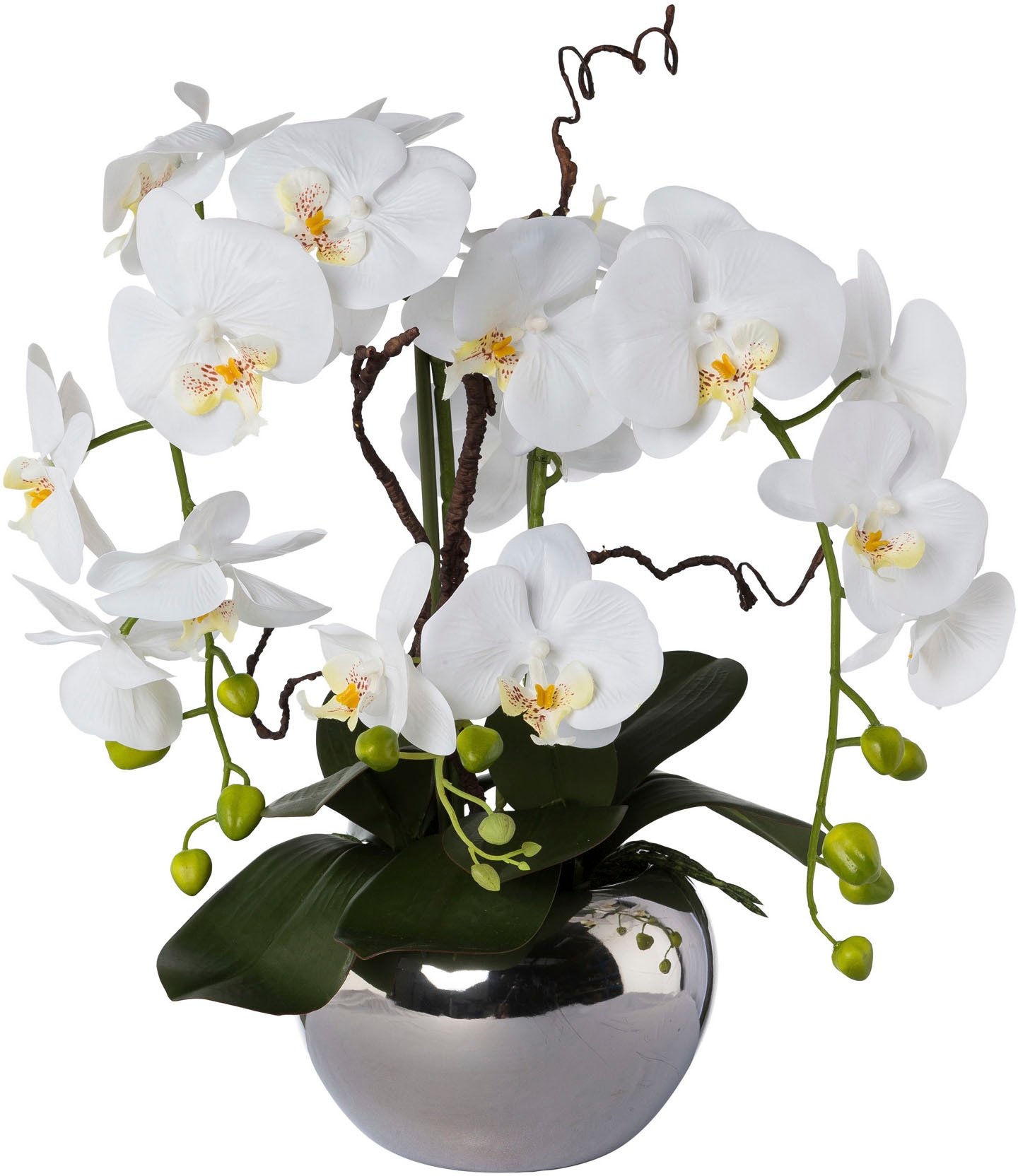 Creativ green Kunstorchidee »Phalaenopsis« im Kerami...