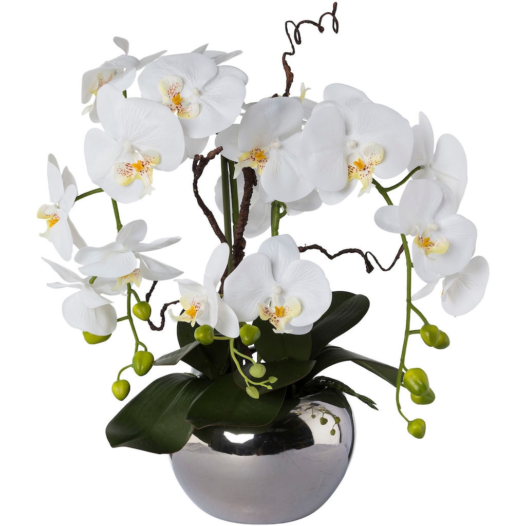 Creativ green Kunstorchidee »Phalaenopsis«, im Keramiktopf