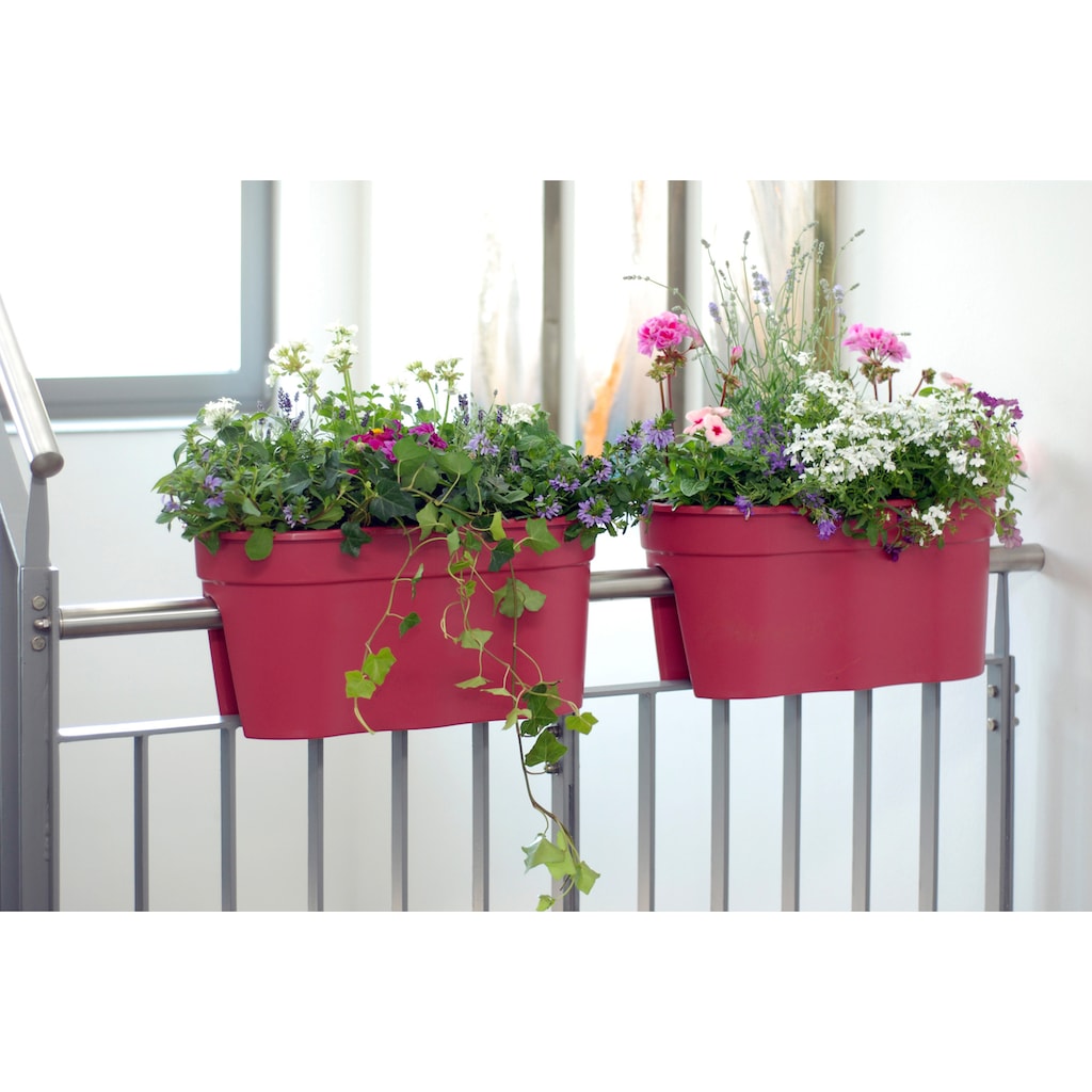 KHW Balkonkasten »Flowerclip XL«, (Set, 2 St.)