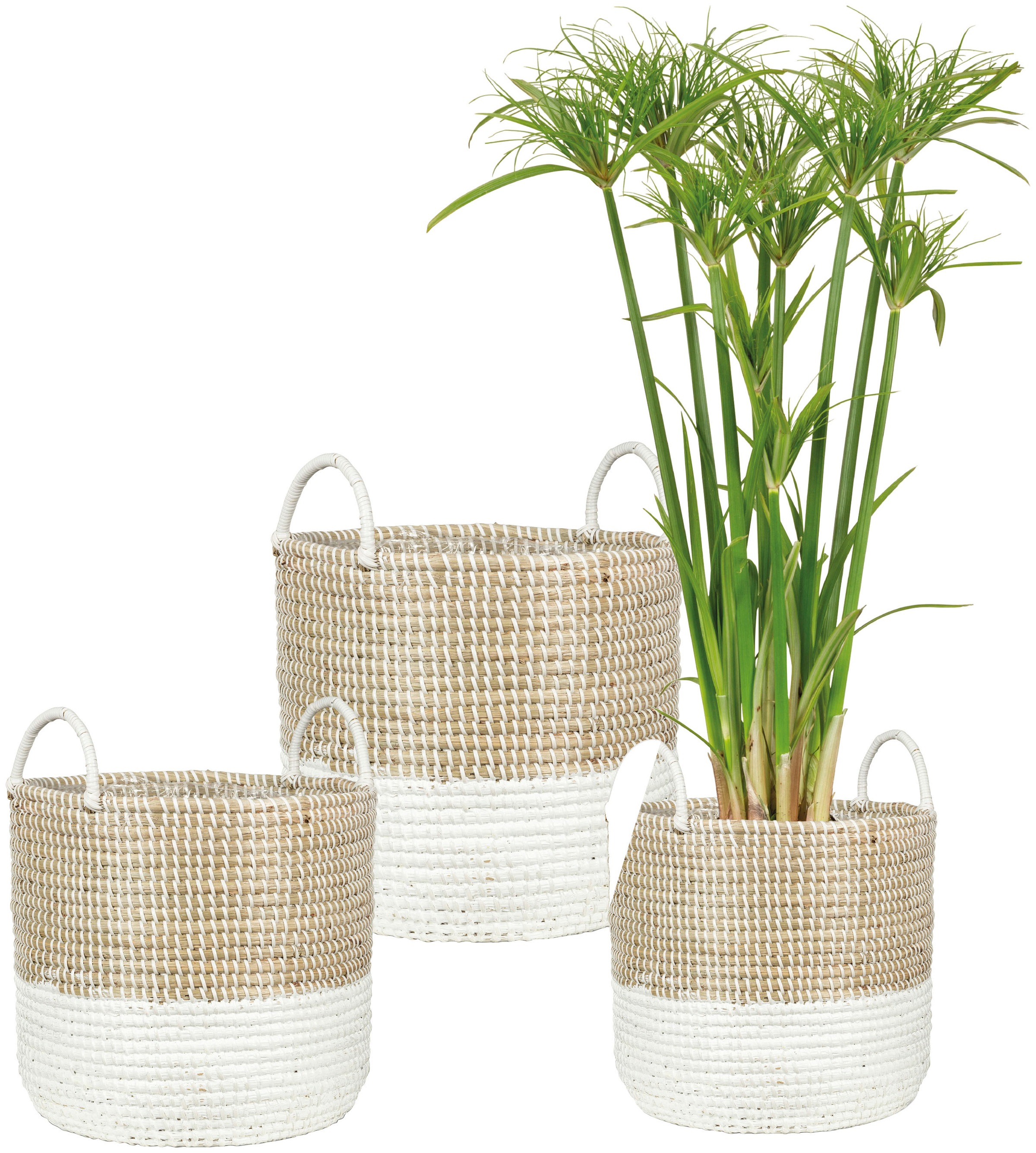 Scheurich Blumentopf »nature white 34/515«