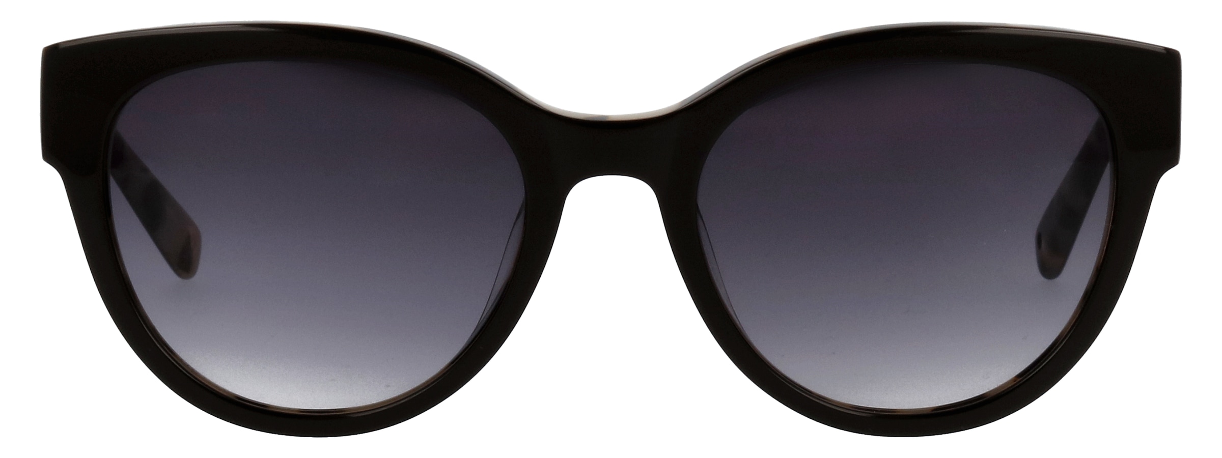 BRENDEL eyewear Sonnenbrille »Modell 906209« Form Panto, Logoschriftzug auf Bügel, Kunststofffassung