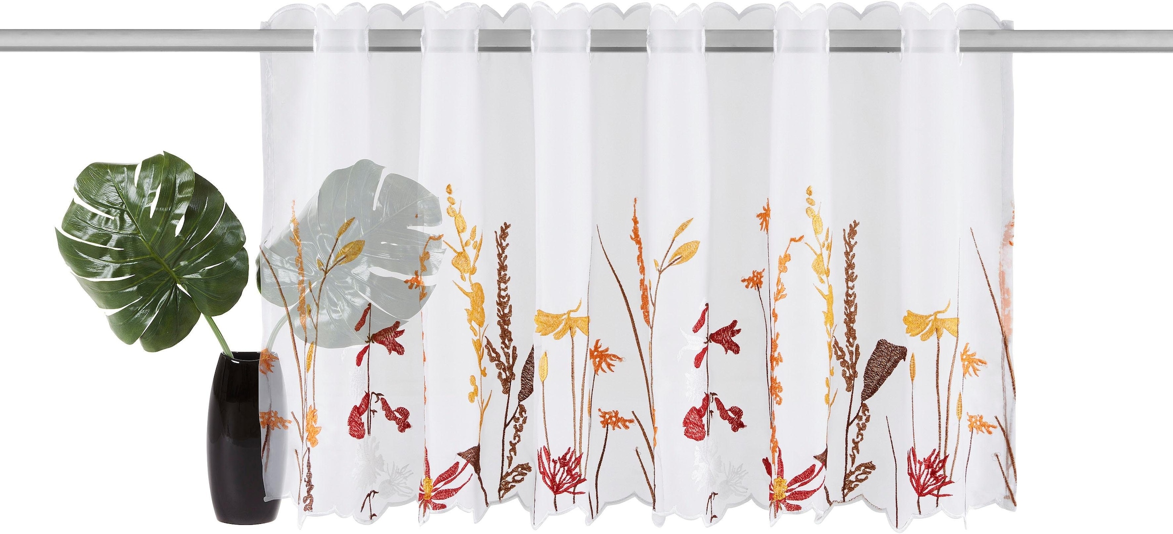 Home affaire Voile St.), mit Stickerei, »Bille«, echter | waschbar bestellen transparent, (1 Scheibengardine BAUR