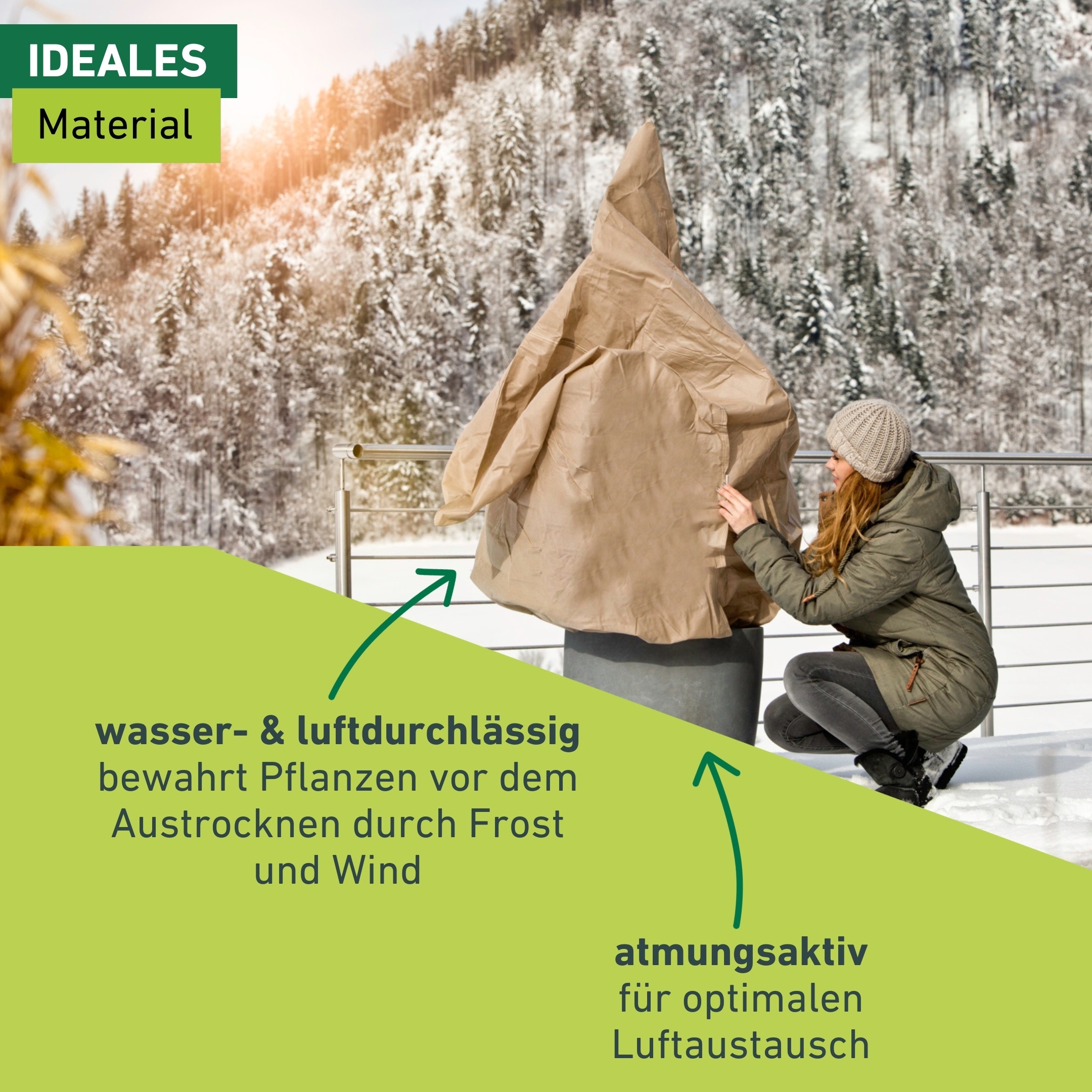 Windhager Winterschutzvlies »Winterschutz für Pflanzen, Vlieshaube, Frostschutz und Kälteschutz« UV stabilisiert und witterungsbeständig, 0,6x1,8 m, Stärke 50 g/m2