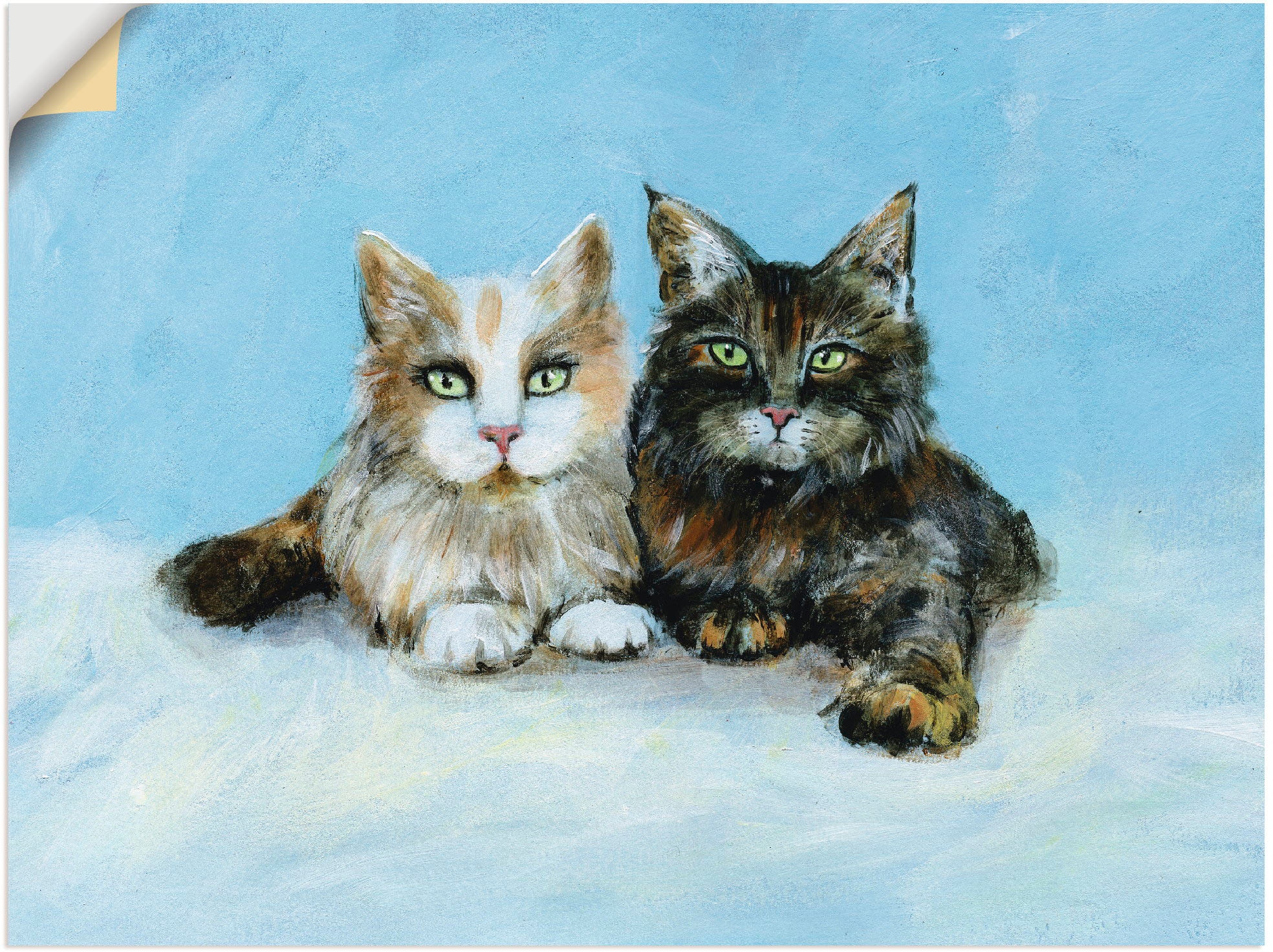 Artland Paveikslas »Junge Maine-Coon Katzen« n...