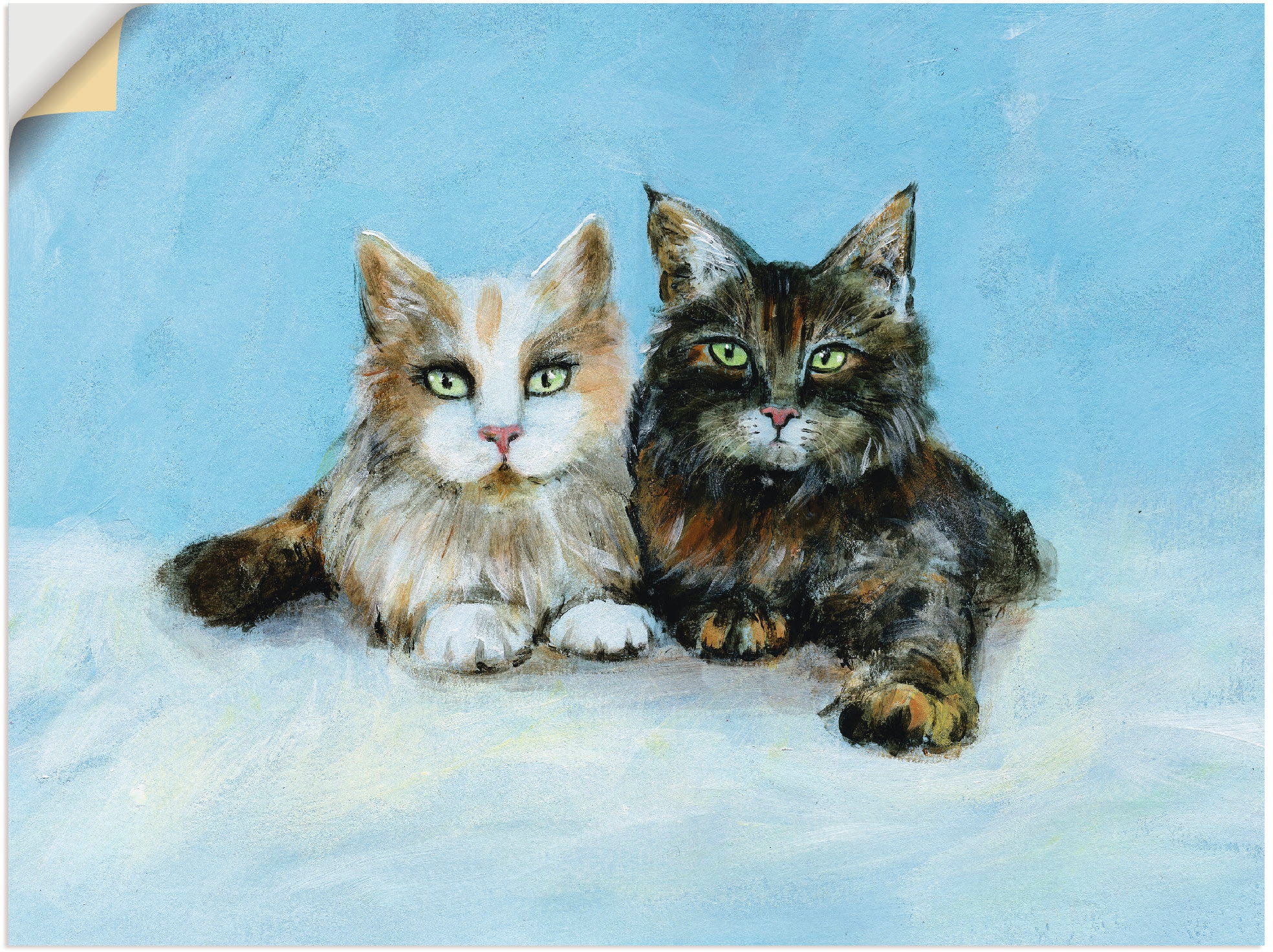 Artland Wandbild "Junge Maine-Coon Katzen", Haustiere, (1 St.), als Wandaufkleber in verschied. Größen