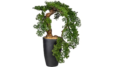 Kunstbonsai »Carolyne«