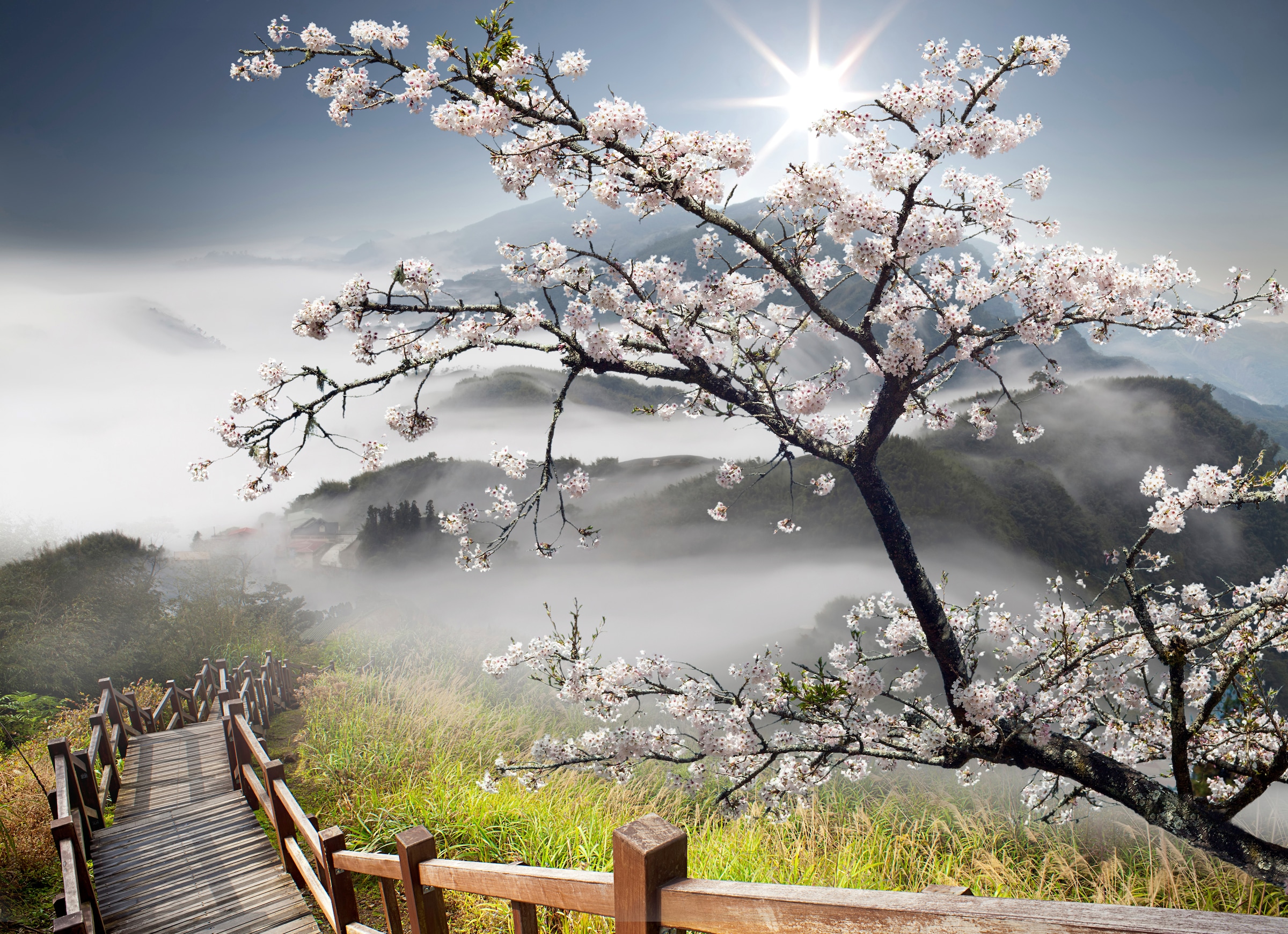 Papermoon Fototapete »ORCHIDEEN-TAPETE NATUR LANDSCHAFT GEBIRGE BERGE BLUMEN«