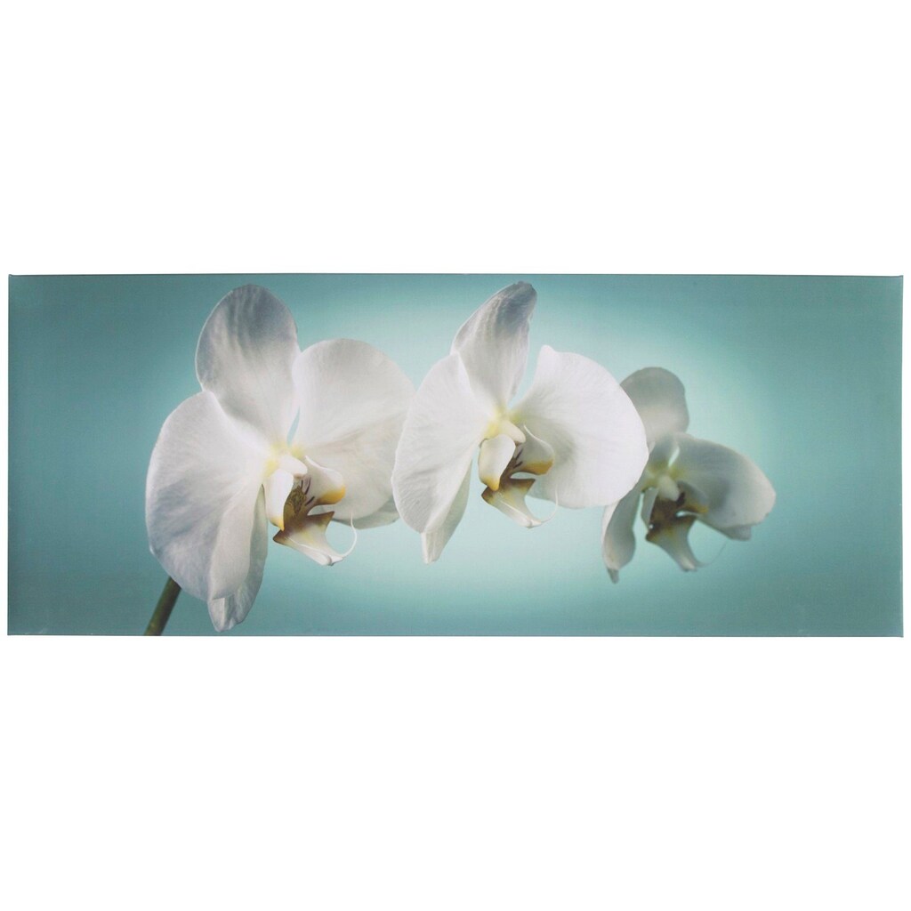 Art for the home Leinwandbild »Orchidee«, Orchidee
