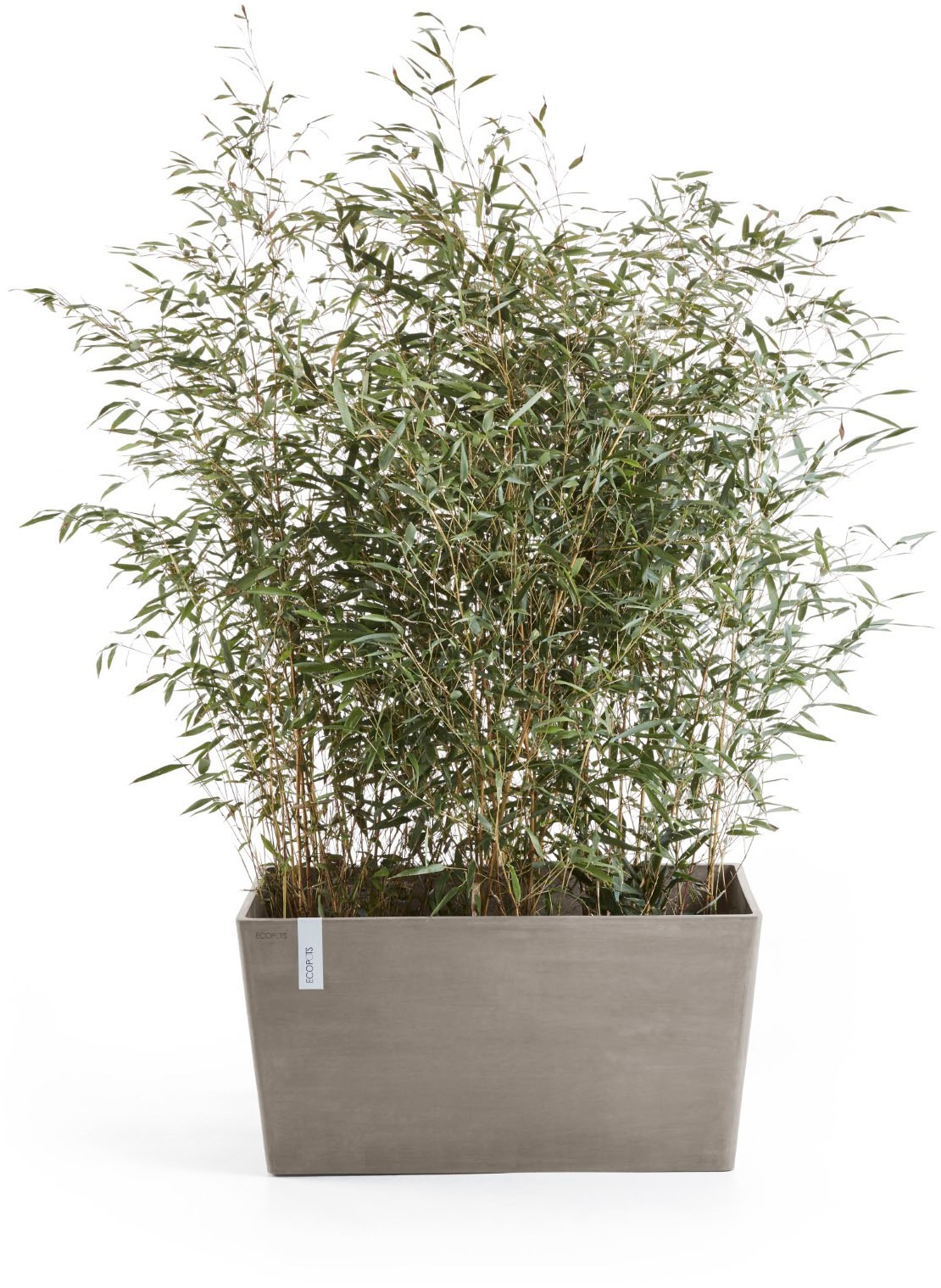 ECOPOTS Blumentopf »Paris 100 Taupe« für den Außenbereich: frostsicher, bruchsicher und lichtbeständig