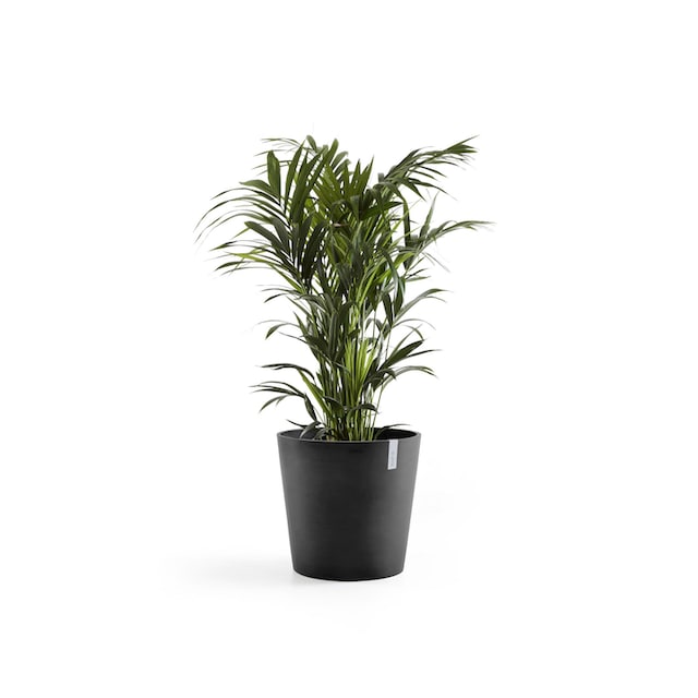 ECOPOTS Blumentopf »Amsterdam«, ØxH: 60x54,8 cm kaufen | BAUR