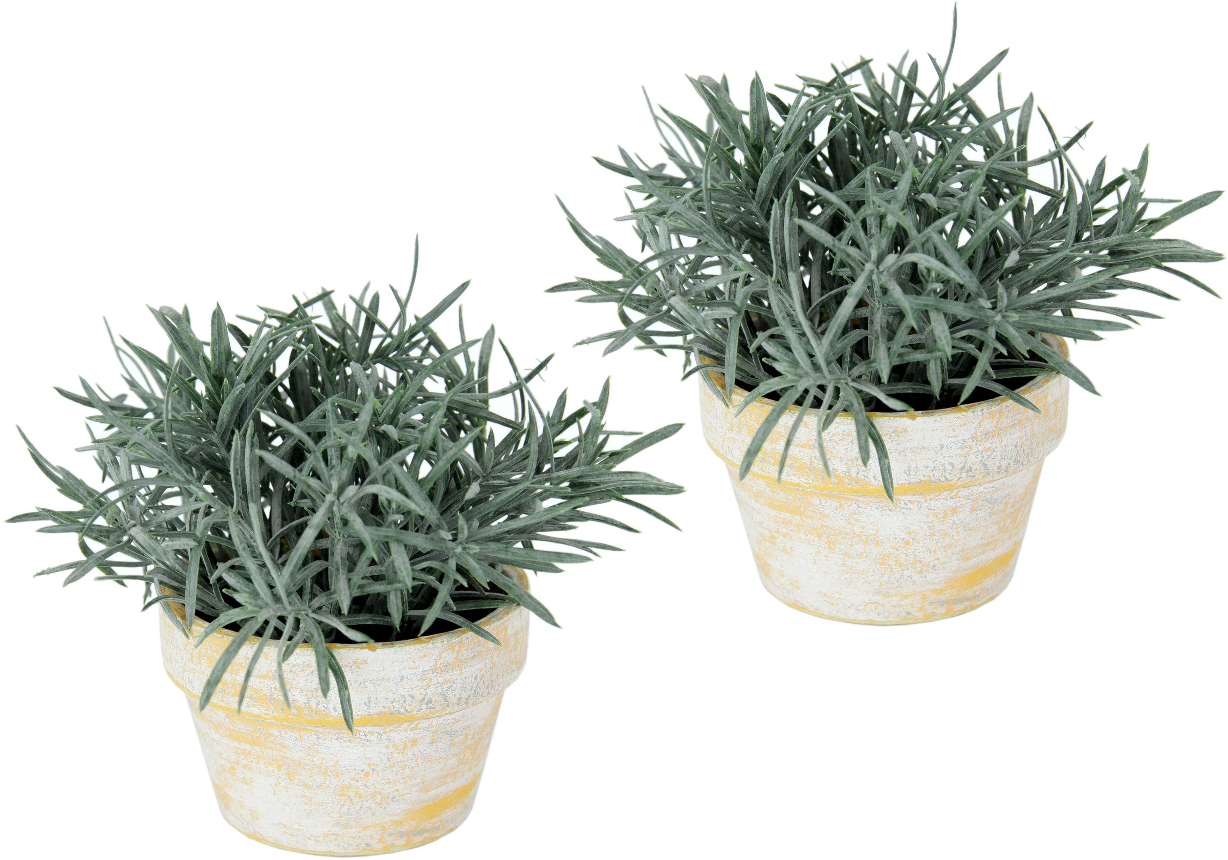 I.GE.A. Kunstpflanze "Künstlicher Podocarpus im Topf 2er Set", Deko Blume f günstig online kaufen