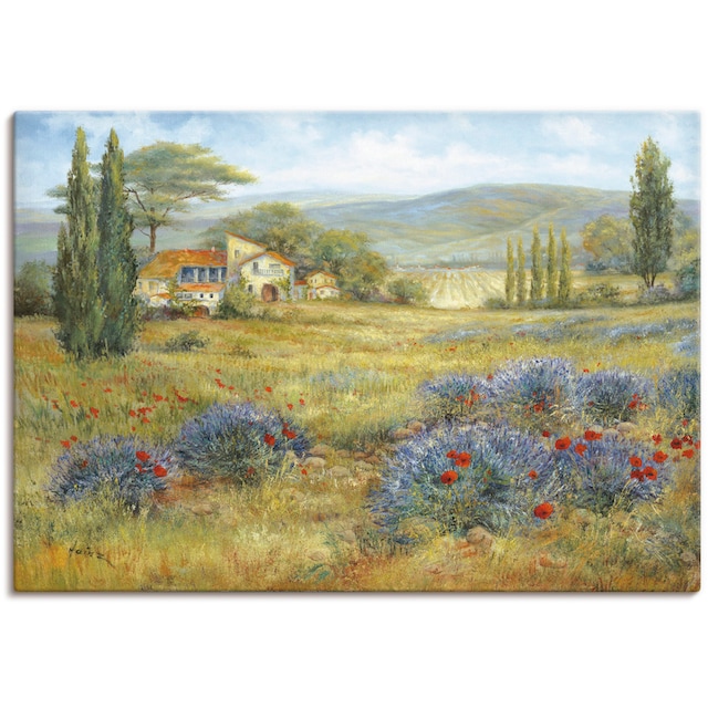 Artland Wandbild »Provence«, Bilder von Europa, (1 St.), als Alubild,  Leinwandbild, Wandaufkleber oder Poster in versch. Größen kaufen | BAUR