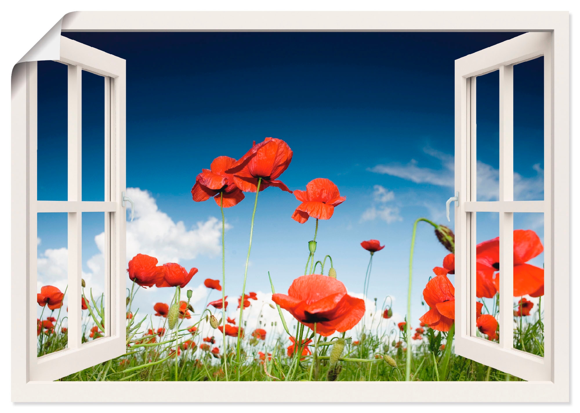 Artland Poster "Fensterblick Feld mit Mohnblumen" Fensterblick 1 Stk. tlg. ohne Rahmen