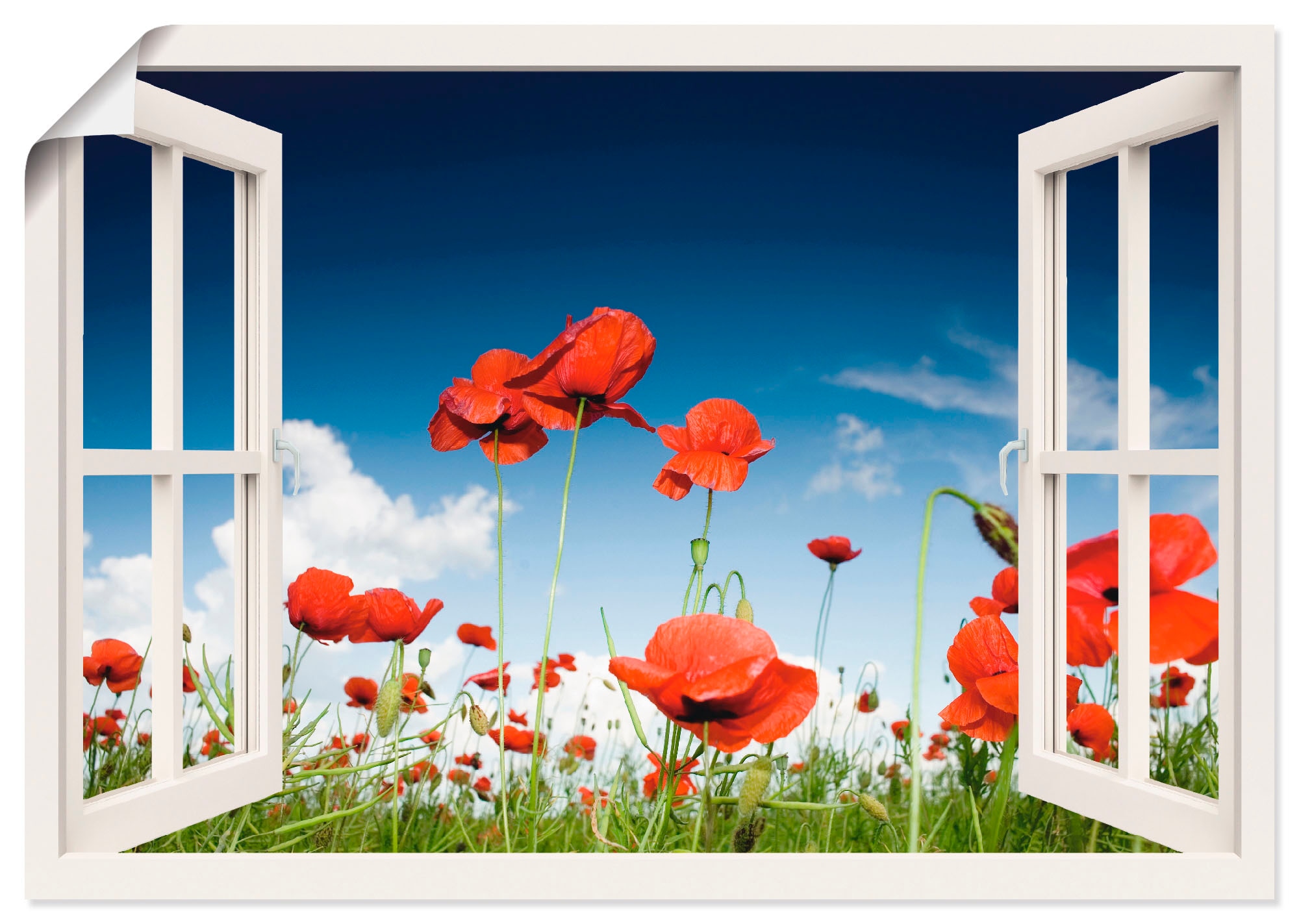 Artland Wandbild "Fensterblick Feld mit Mohnblumen", Fensterblick, (1 St.), günstig online kaufen