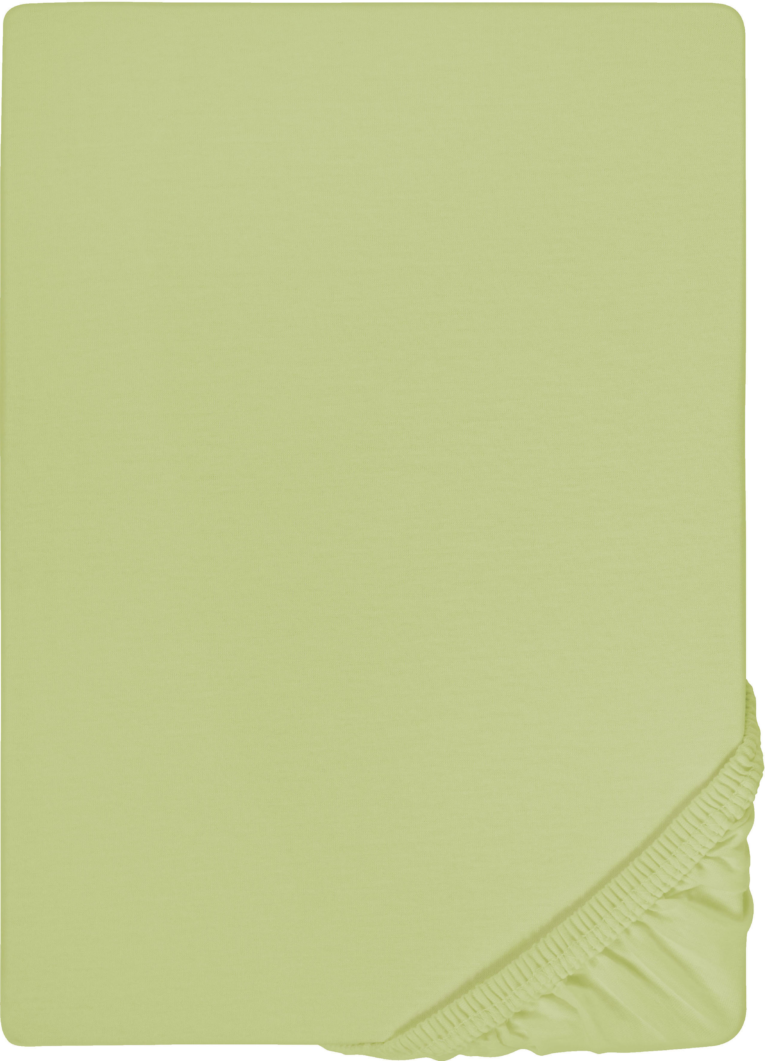 Biberna Spannbettlaken "0077866 Deluxe Jersey-Elastic Spannbetttuch 97% Baumwolle" Jersey mit Elasthan, Rundumgummi, bügelfrei, ab Größe 90 x 190 cm i