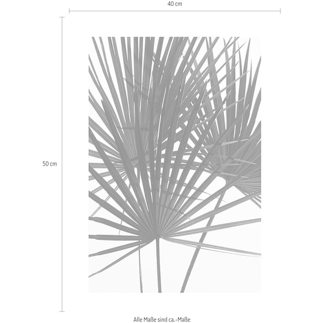 Komar Poster »Palmtree Leaves«, Pflanzen, (1 St.), Kinderzimmer,  Schlafzimmer, Wohnzimmer | BAUR