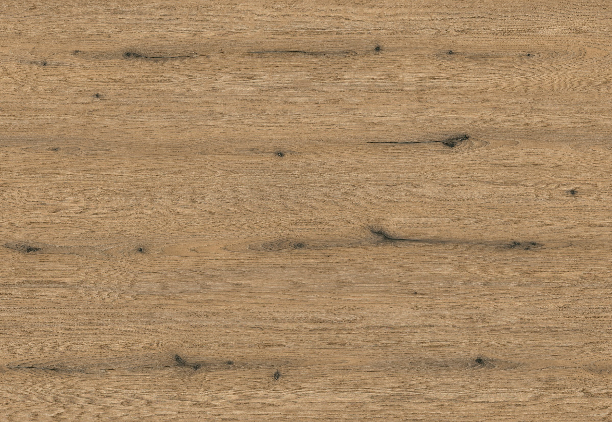 Thumbnail - KOCHSTATION Unterschrank ""KS-Scafa" mit zwei Einlegeböden" in verschiedenen Breiten, wahlweise Türanschlag rechts oder ...