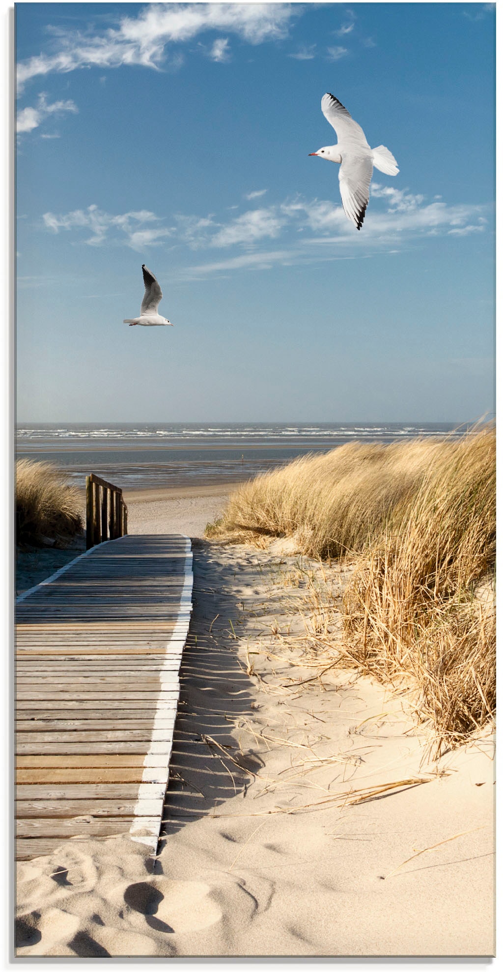 Artland Glasbild "Nordseestrand auf Langeoog mit Möwen", Strand, (1 St.), in verschiedenen Größen