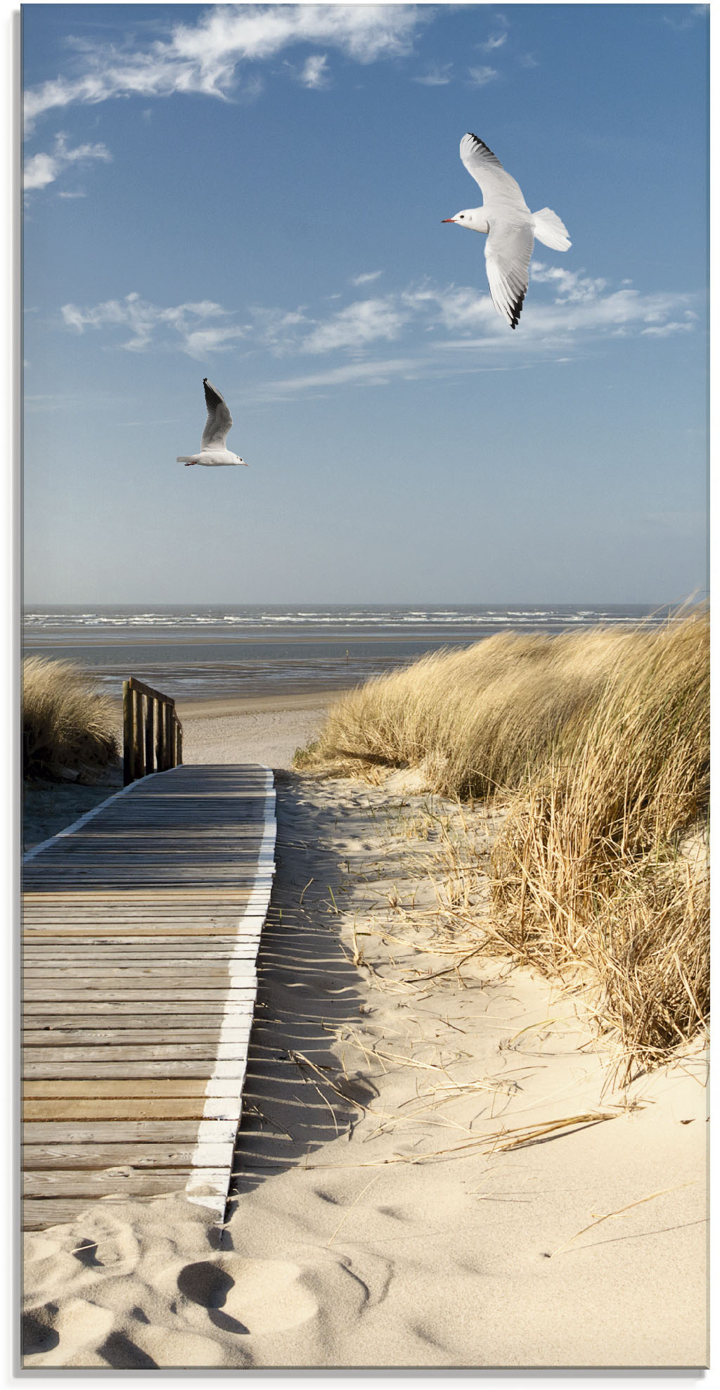Artland Glasbild "Nordseestrand auf Langeoog mit Möwen" Strand 1 Stk. tlg. in verschiedenen Größen
