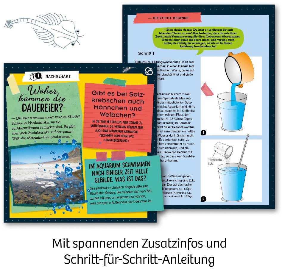Kosmos Experimentierkasten »Urzeit-Krebse«, Made in Germany