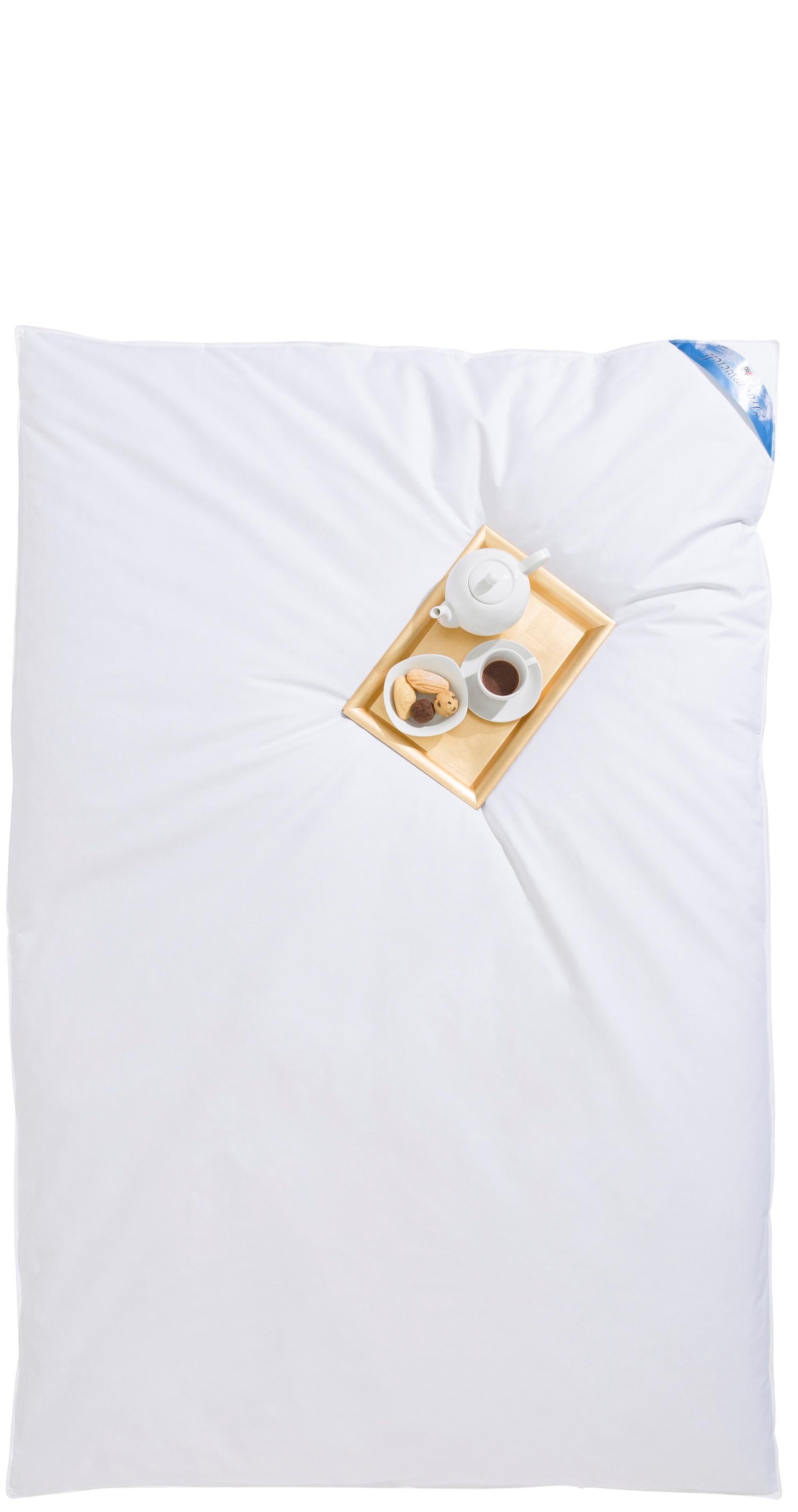 RIBECO Federbettdecke "Leon, Ballonbettdecke Leon, 135x200 & 155x220 cm" ex günstig online kaufen