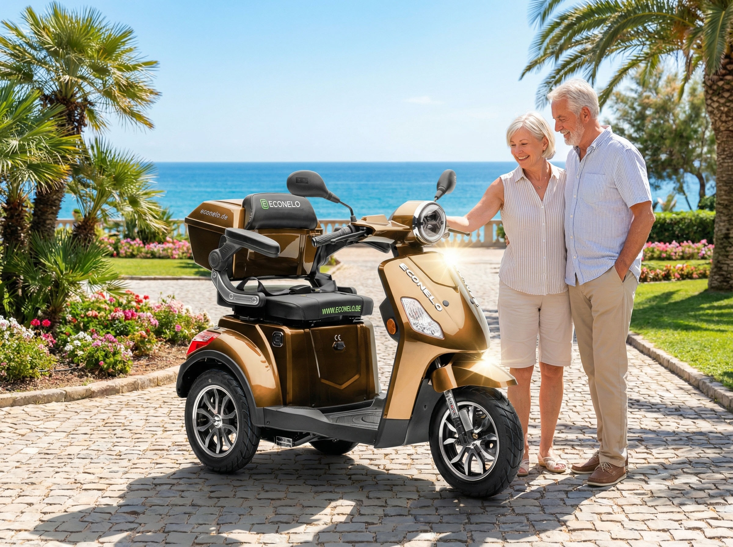 ECONELO Elektromobil »Seniorenmobil P1000, Lithium-Akku, 25 km/h, 1000 Watt« 1.000 W 25 km/h