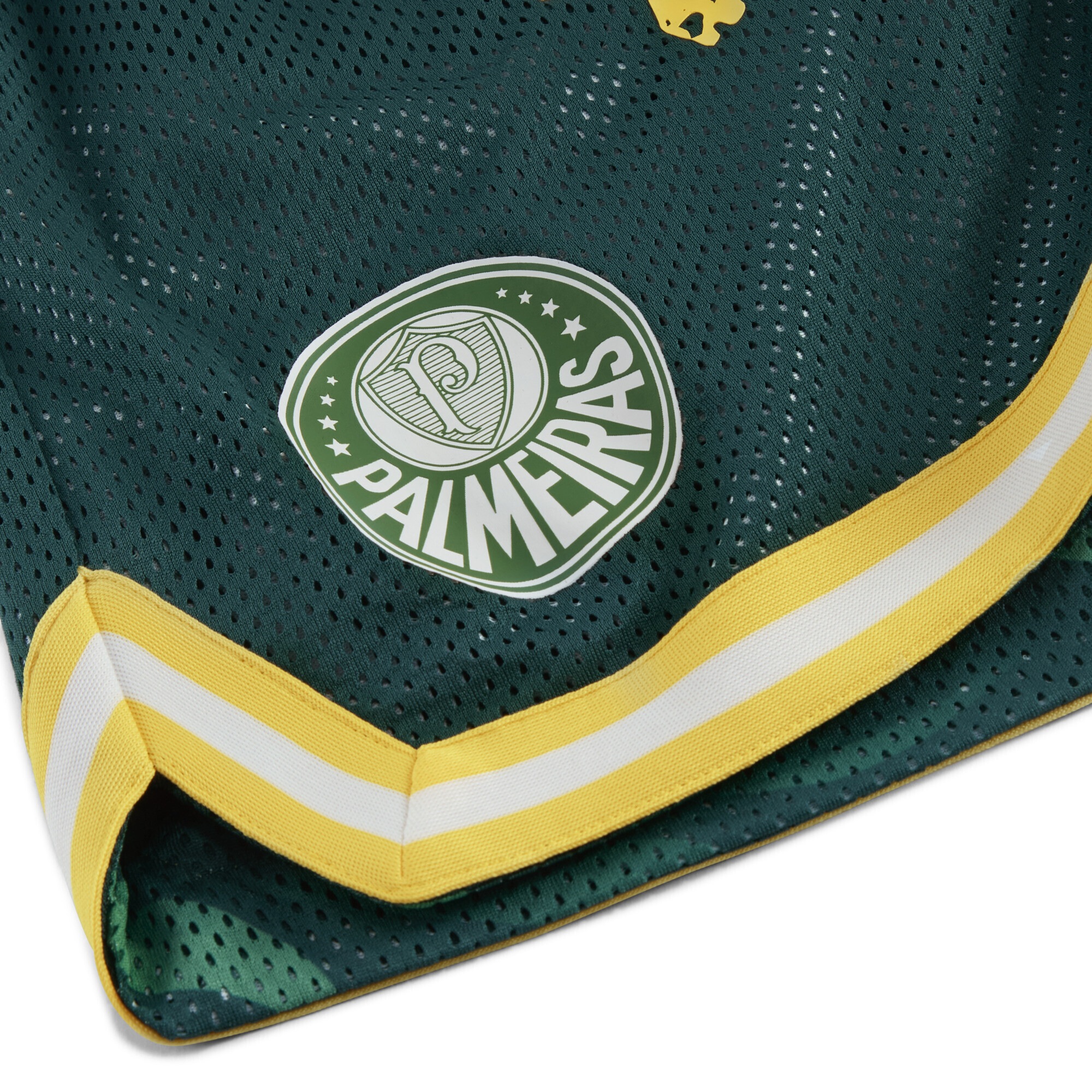 PUMA Shorts »PUMA HOOPS x SE PALMEIRAS Basketballshorts Herren«