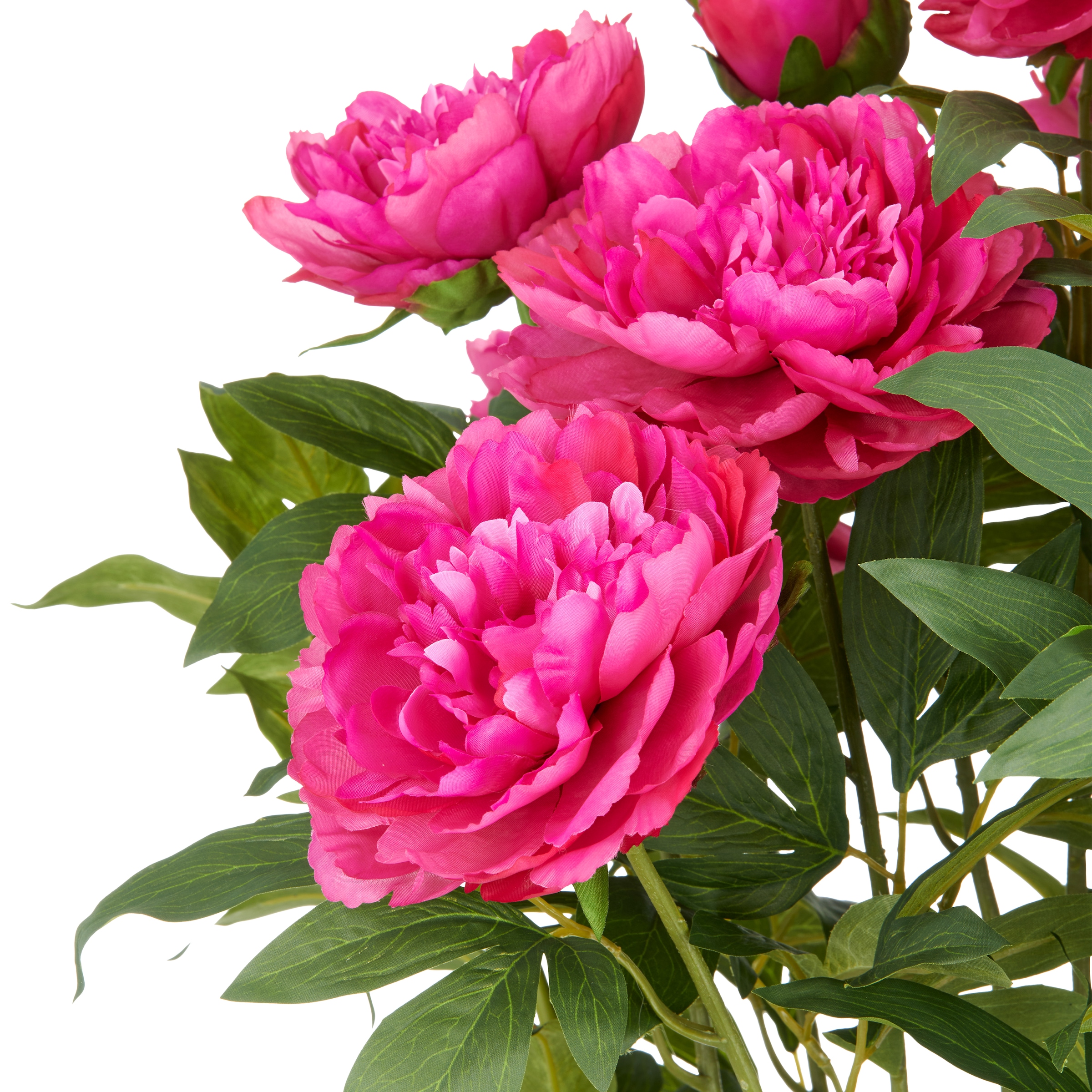 Creativ green Kunstpflanze »Peonie«, im eleganten Topf