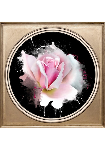 queence Acrylglasbild »Rosa Rose«