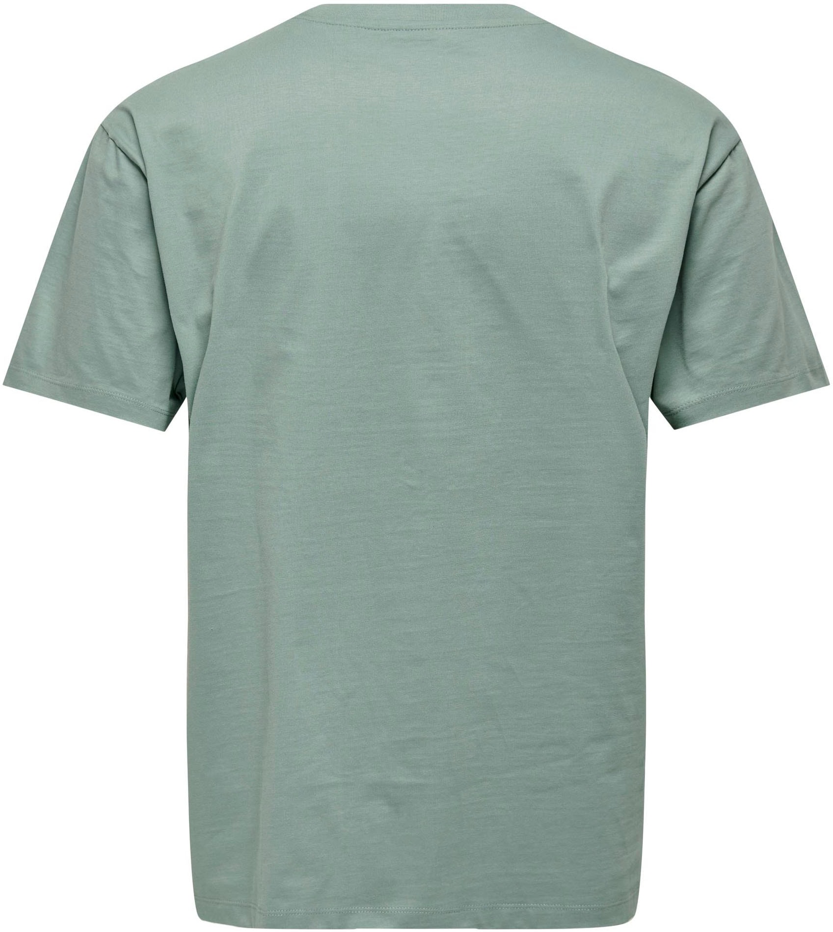 ONLY & SONS T-Shirt »ONSFRED LIFE RLX SS TEE NOOS«