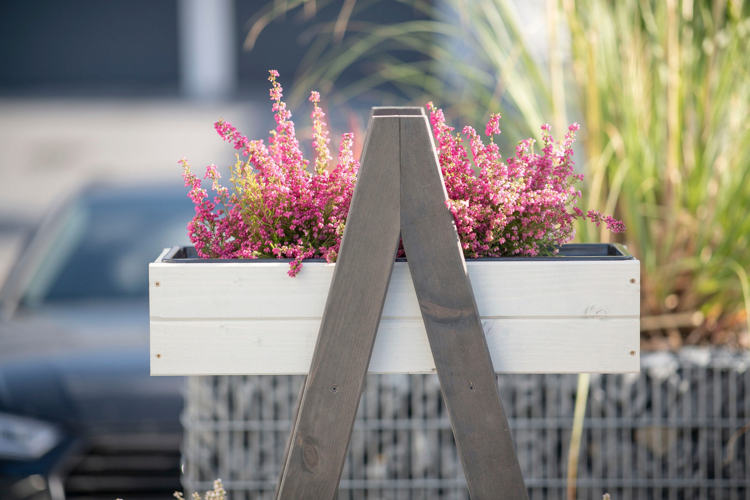 WESTMANN Pflanzkübel »Kathleen« 100 % FSC®-zertifiziertes Holz