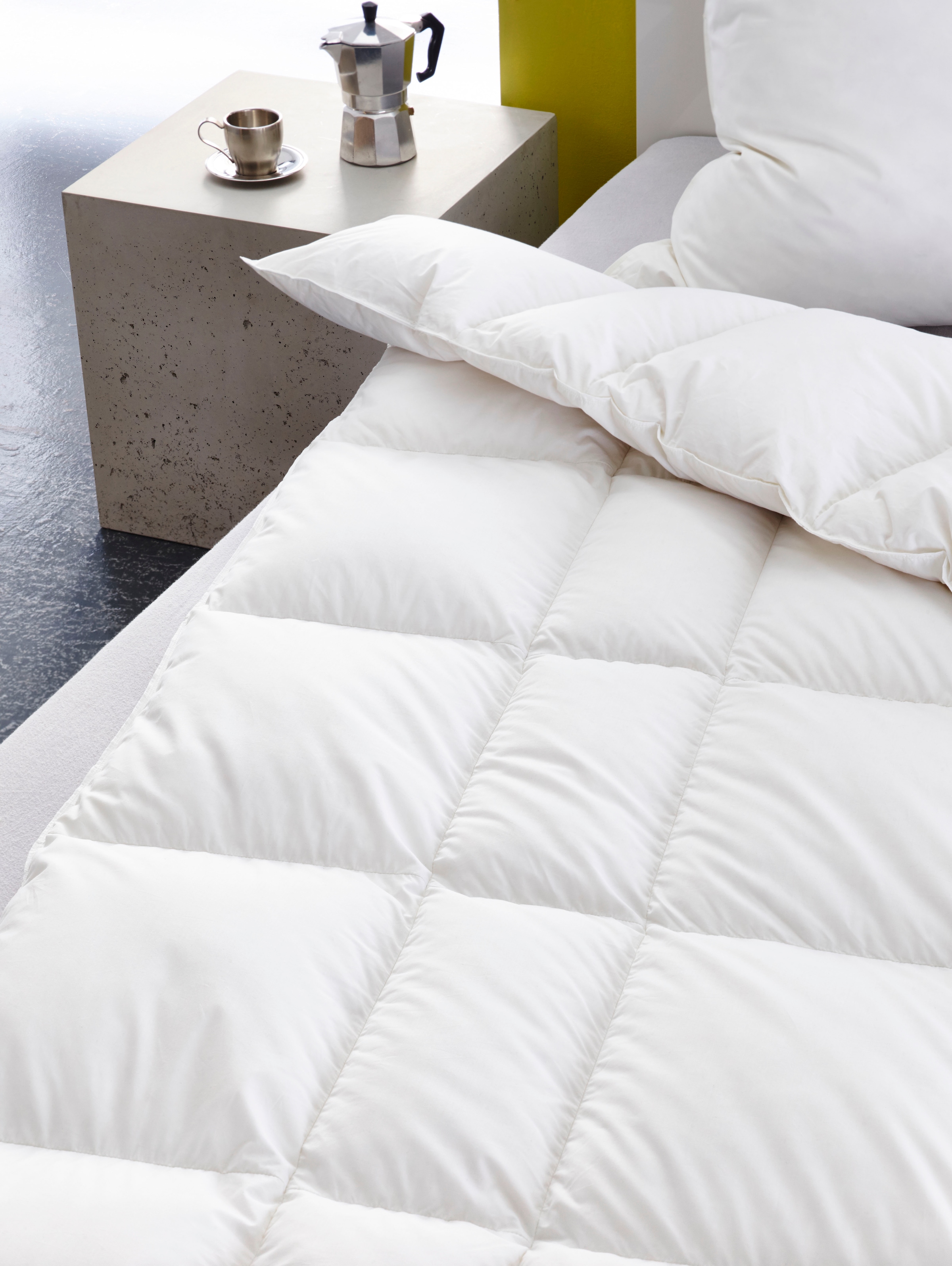 Haeussling Gänsedaunenbettdecke »Select - Made in Green«, warm, Füllung 100% Gänsedaunen, Bezug 100% Baumwolle, (1 St.), hochwertiges Daunenprodukt