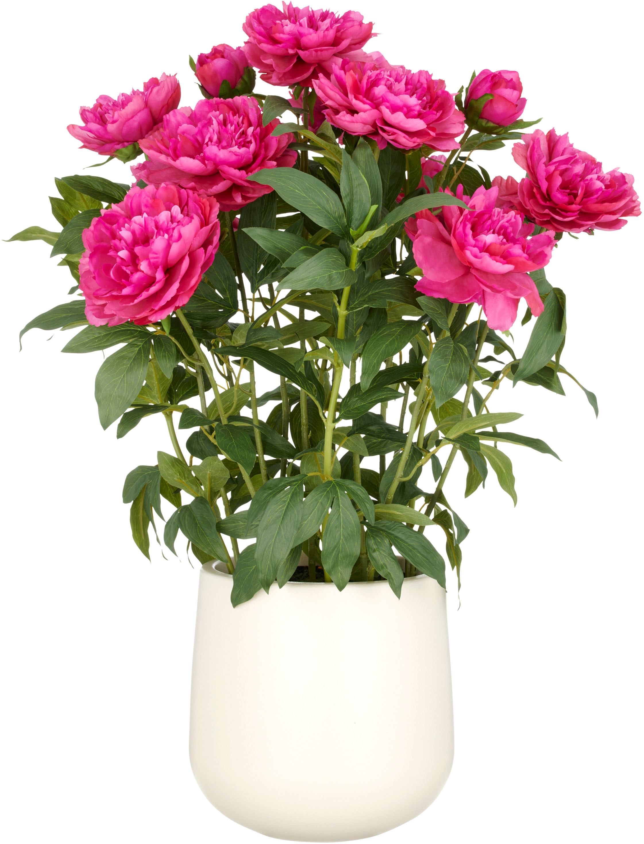 Creativ green Kunstpflanze "Peonie", im eleganten Topf günstig online kaufen