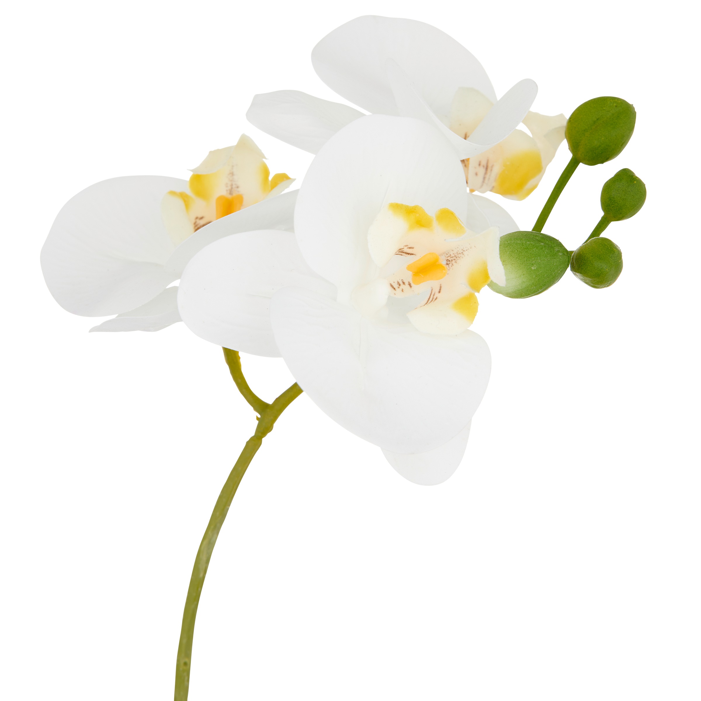 Creativ green Kunstorchidee »Orchidee Phalaenopsis«, mit dauerhafter Blütenpracht