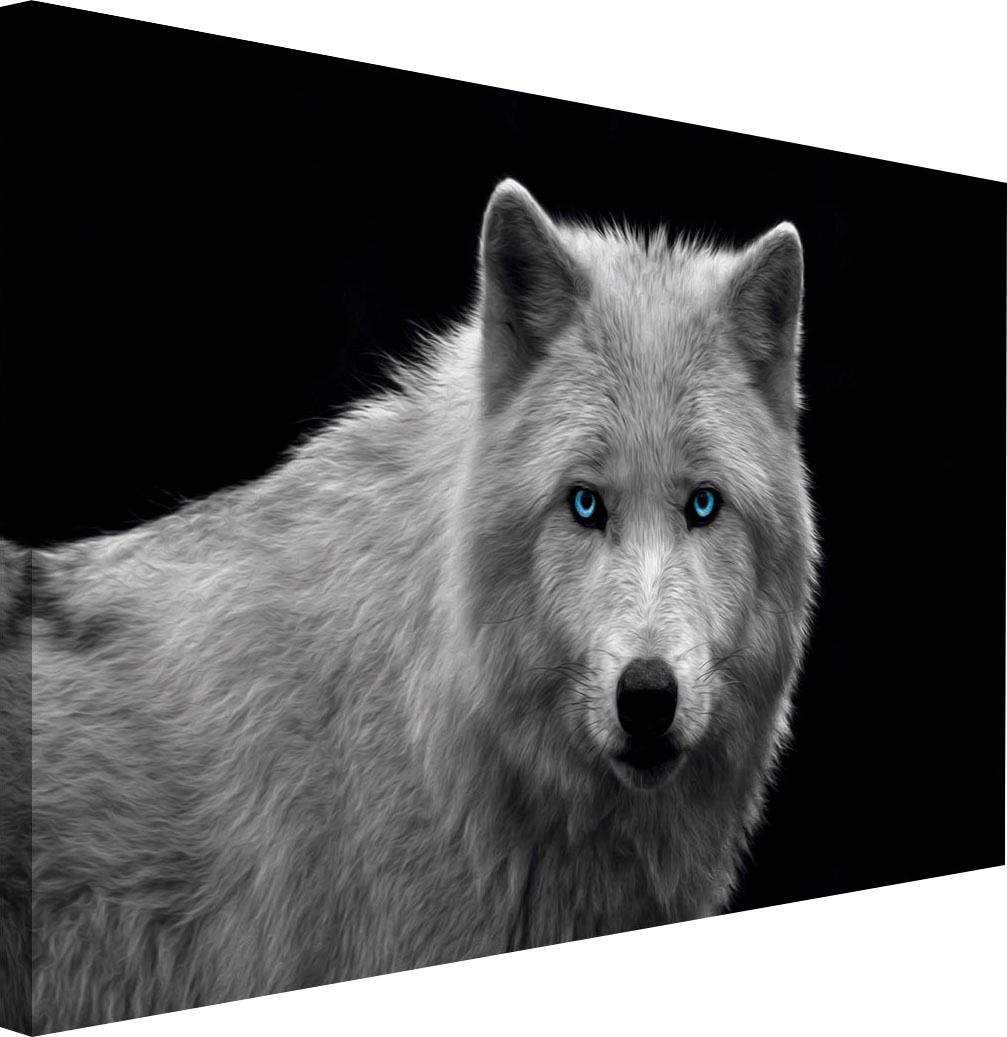 Wandbild BAUR Reinders! | »Wolfsauge« kaufen