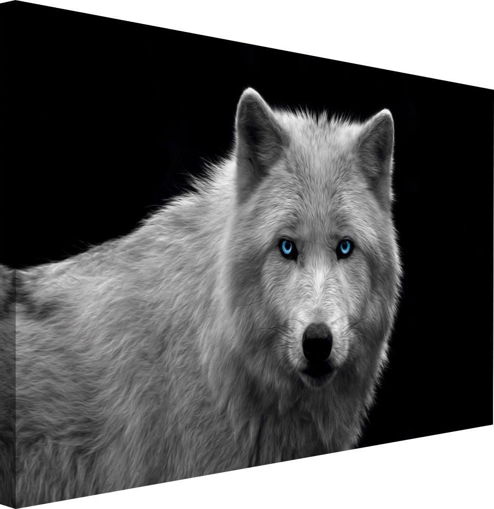 Reinders! Wandbild »Wolfsauge«