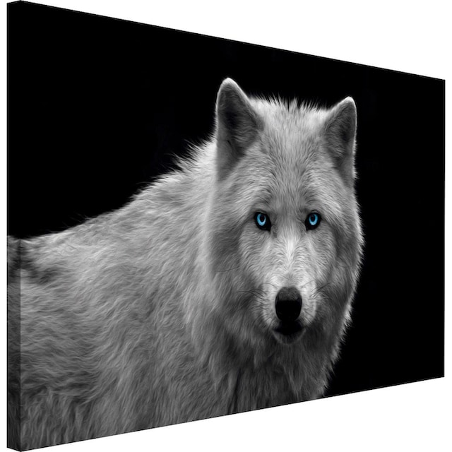 Reinders! Wandbild »Wolfsauge« kaufen | BAUR