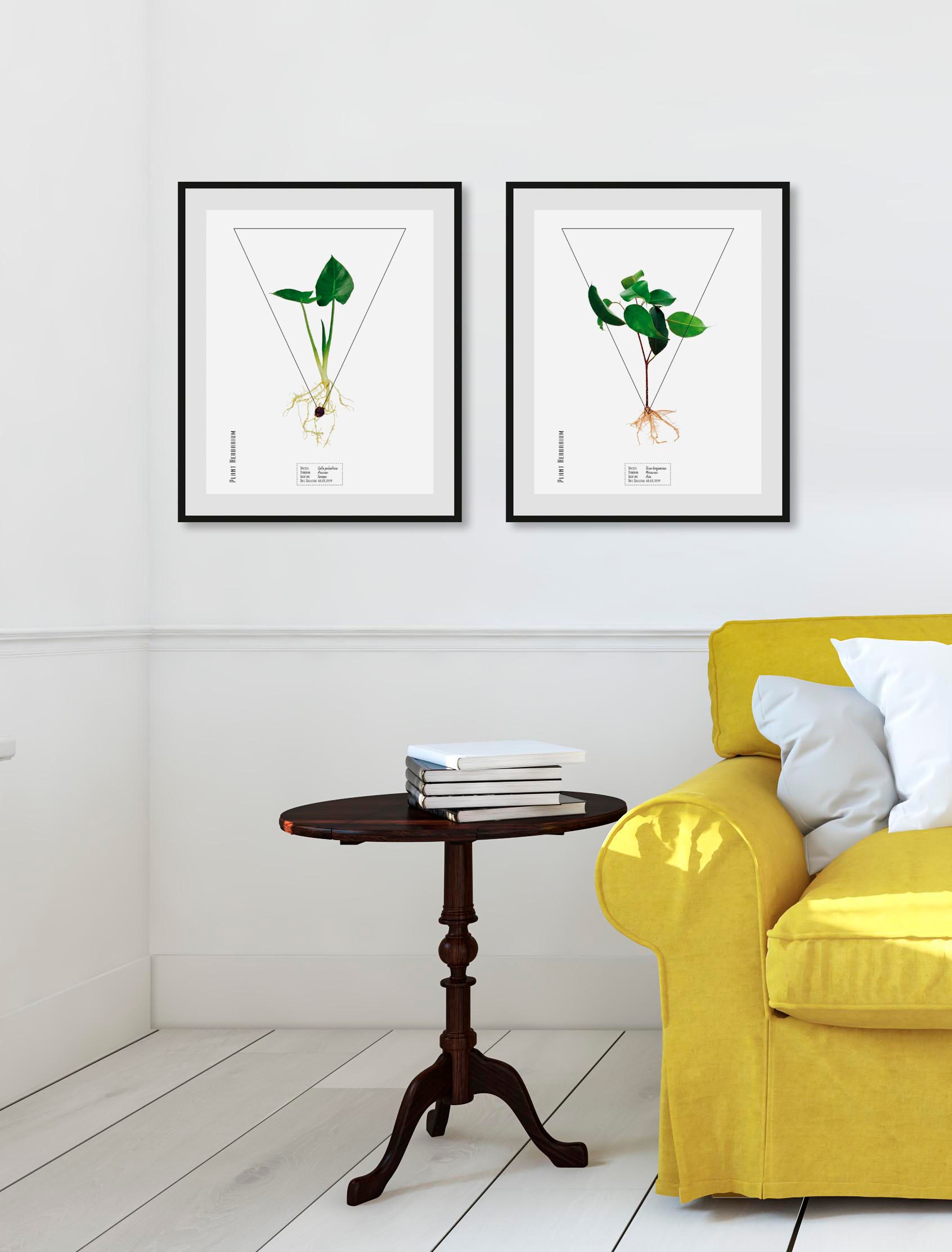 queence Bild "Calla palustrisa", Pflanzen-Pflanzenbilder-Schriftzug, (1 St. günstig online kaufen