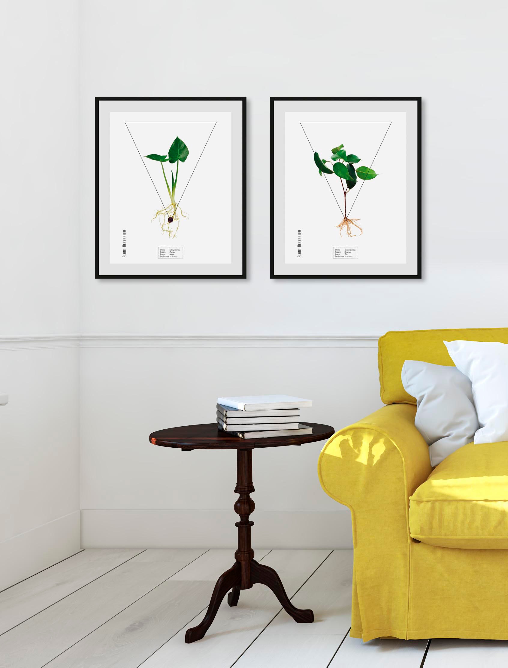 queence Bild "Calla palustrisa" Pflanzen Pflanzenbilder Schriftzug 1 Stk. tlg. HD Premium Poster-Druck inkl. Holzrahmen