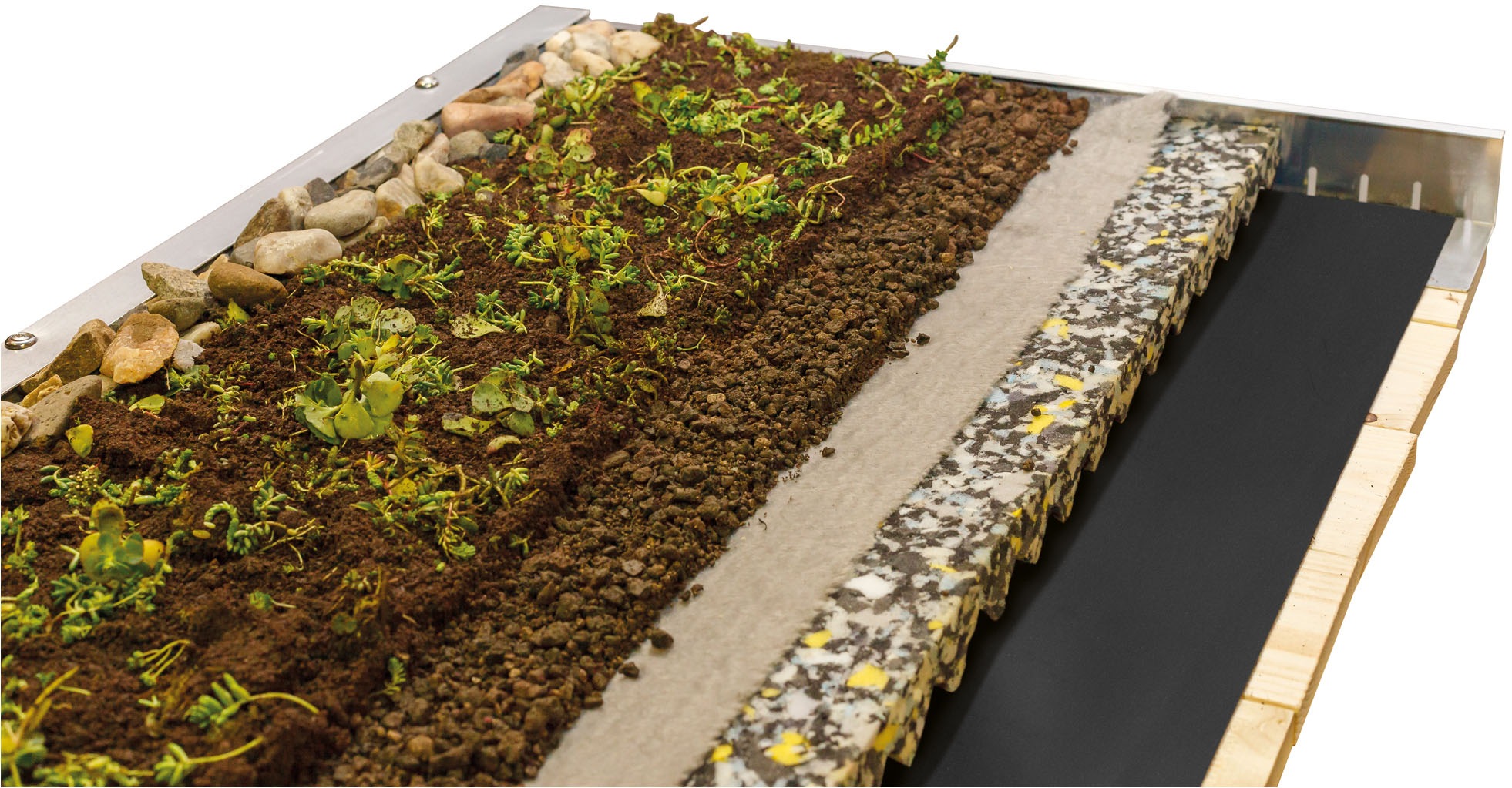 Skanholz Pflanzeinsatz "Dachbegrünung" für Carport Emsland/Wendland günstig online kaufen