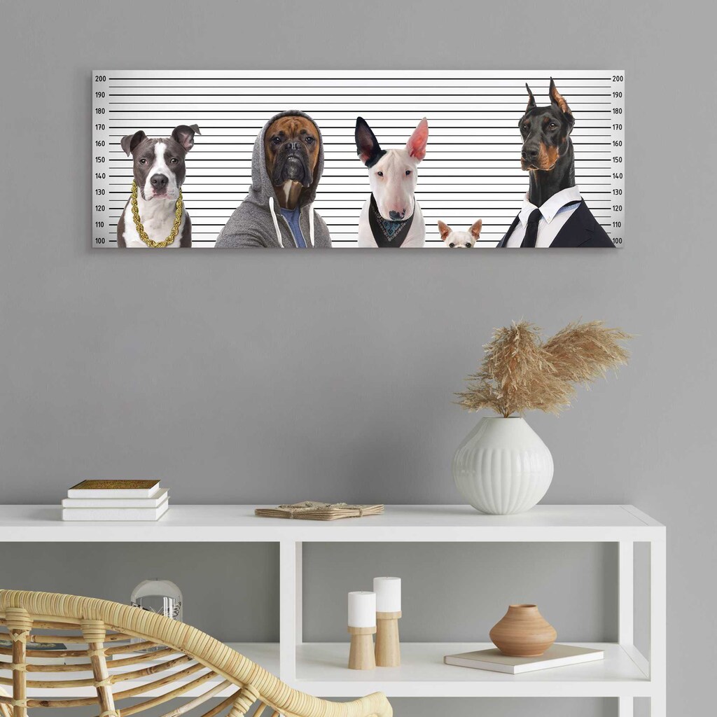 Home affaire Deco-Panel »Most Wanted Dogs«