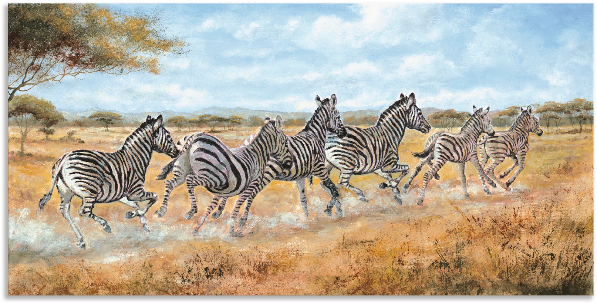 Alu-Dibond-Druck »Laufende Zebras«, Wildtiere, (1 St.), für Innen- und Außenbereich...