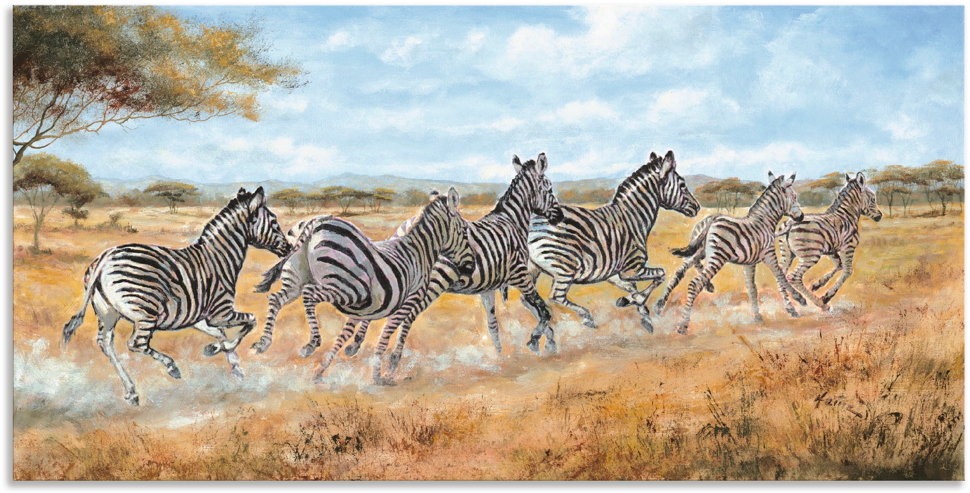 Artland Alu-Dibond-Druck "Laufende Zebras", Wildtiere, (1 St.), für Innen- und Außenbereich geeignet, Outdoorbild