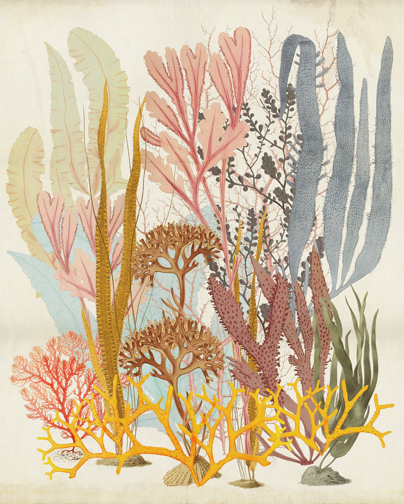 Komar Vliestapete »Catchy Corals«, 200x250 cm (Breite x Höhe), Vliestapete, 100 cm Bahnbreite