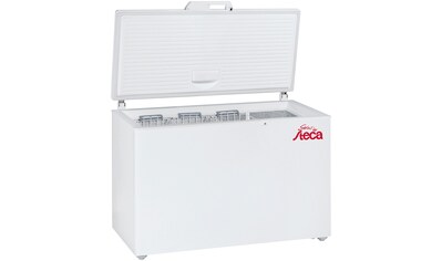Steca Kühlbox »Steca PF240-H«, Kühl- und Gefriertruhe Kompressor 12 V, 24 V kaufen