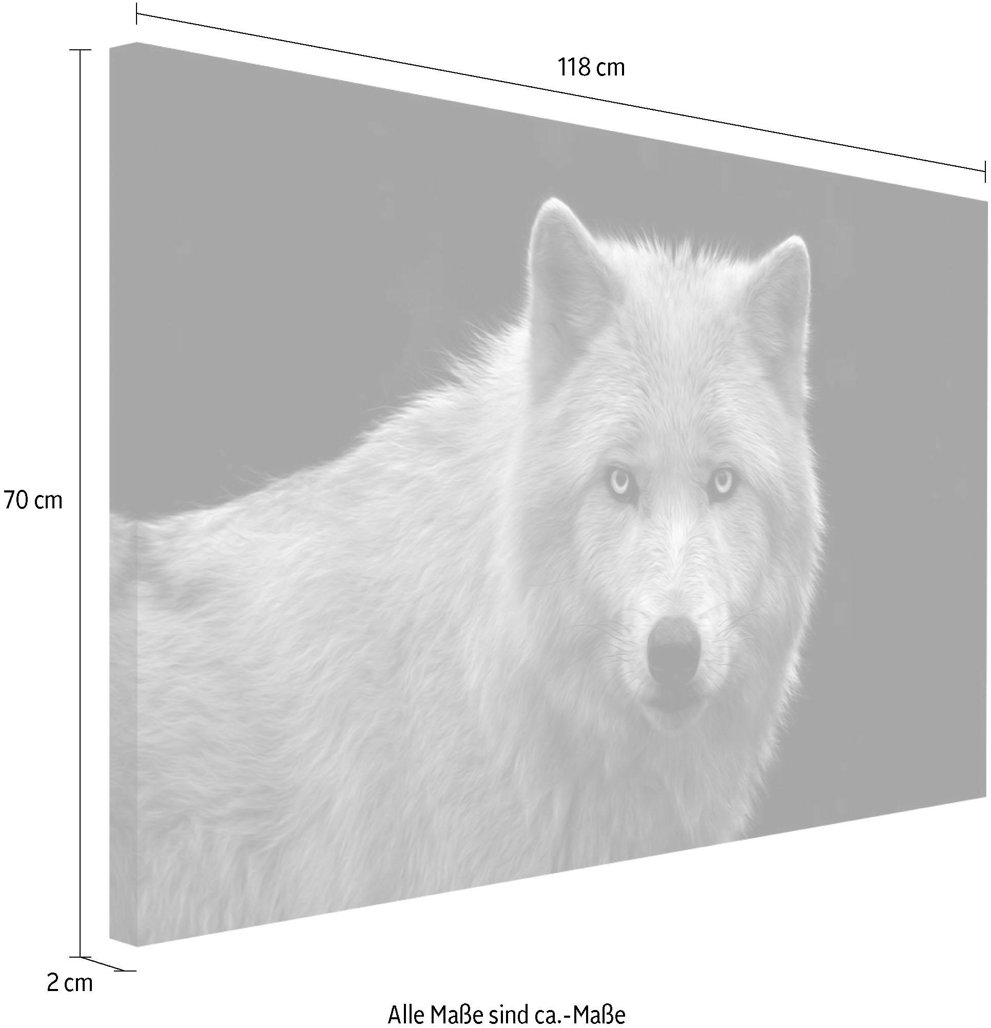 Reinders! Wandbild »Wolfsauge«