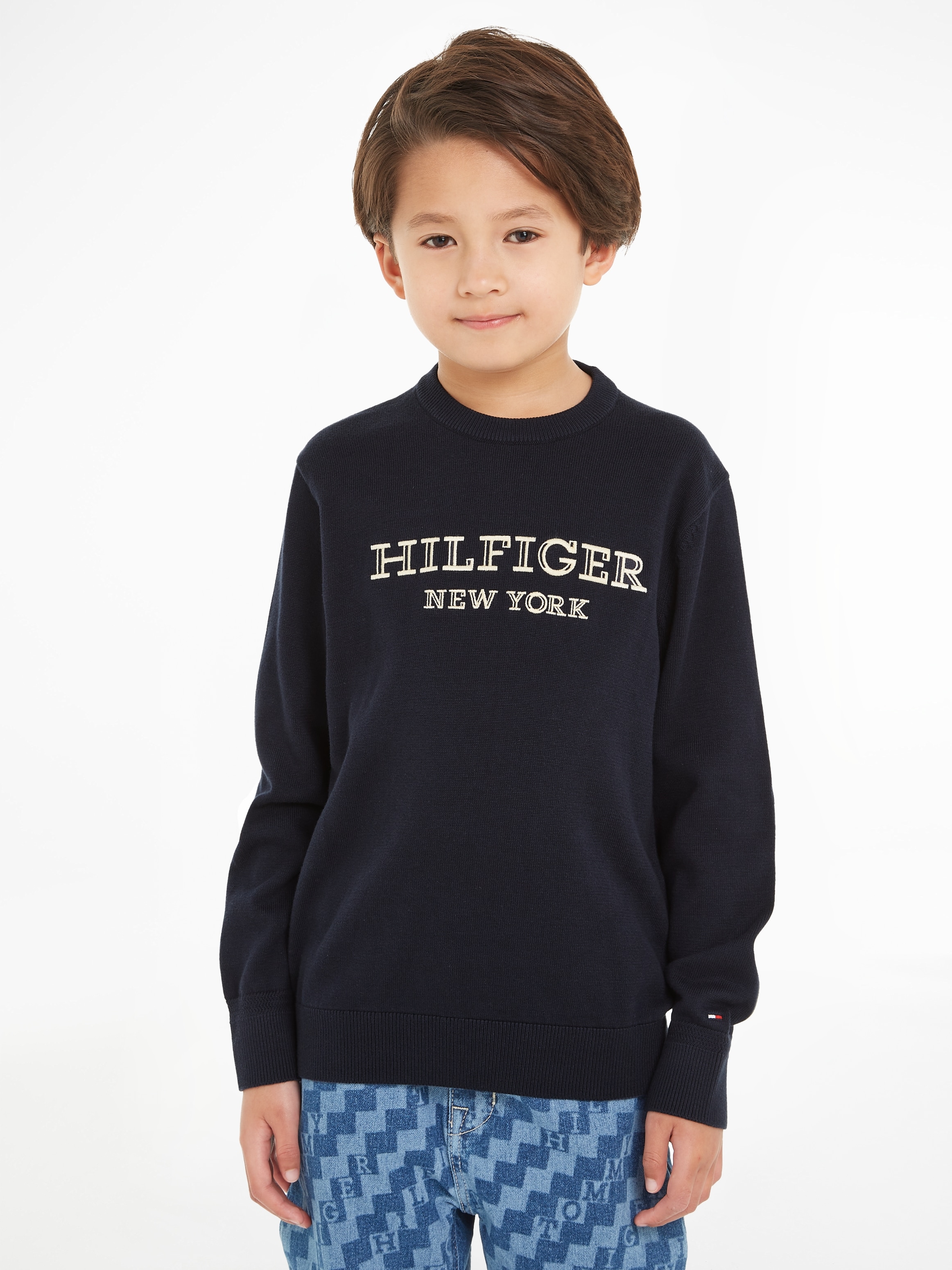 Tommy Hilfiger Strickpullover »MONOTYPE Logostickerei großer SWEATER«, für BAUR | mit ▷