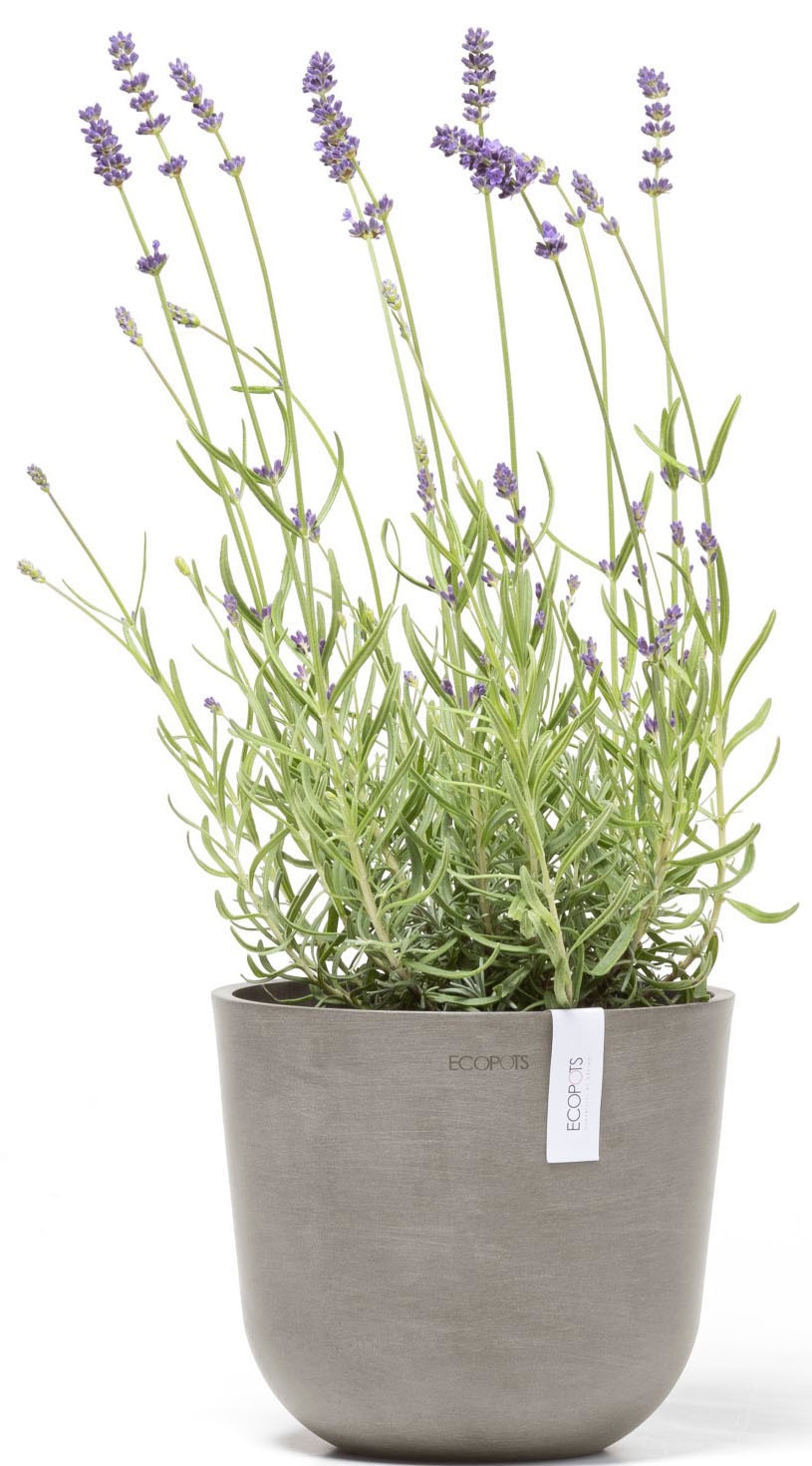 ECOPOTS Blumentopf »Oslo 19 Taupe« für den Innenbereich
